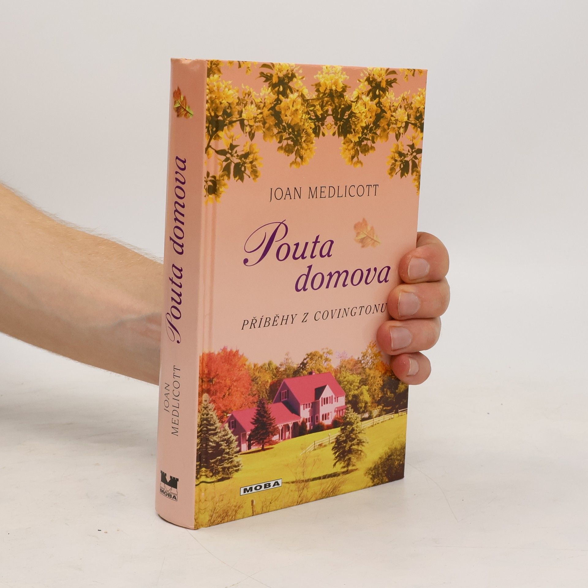 Joan Medlicott Pouta domova