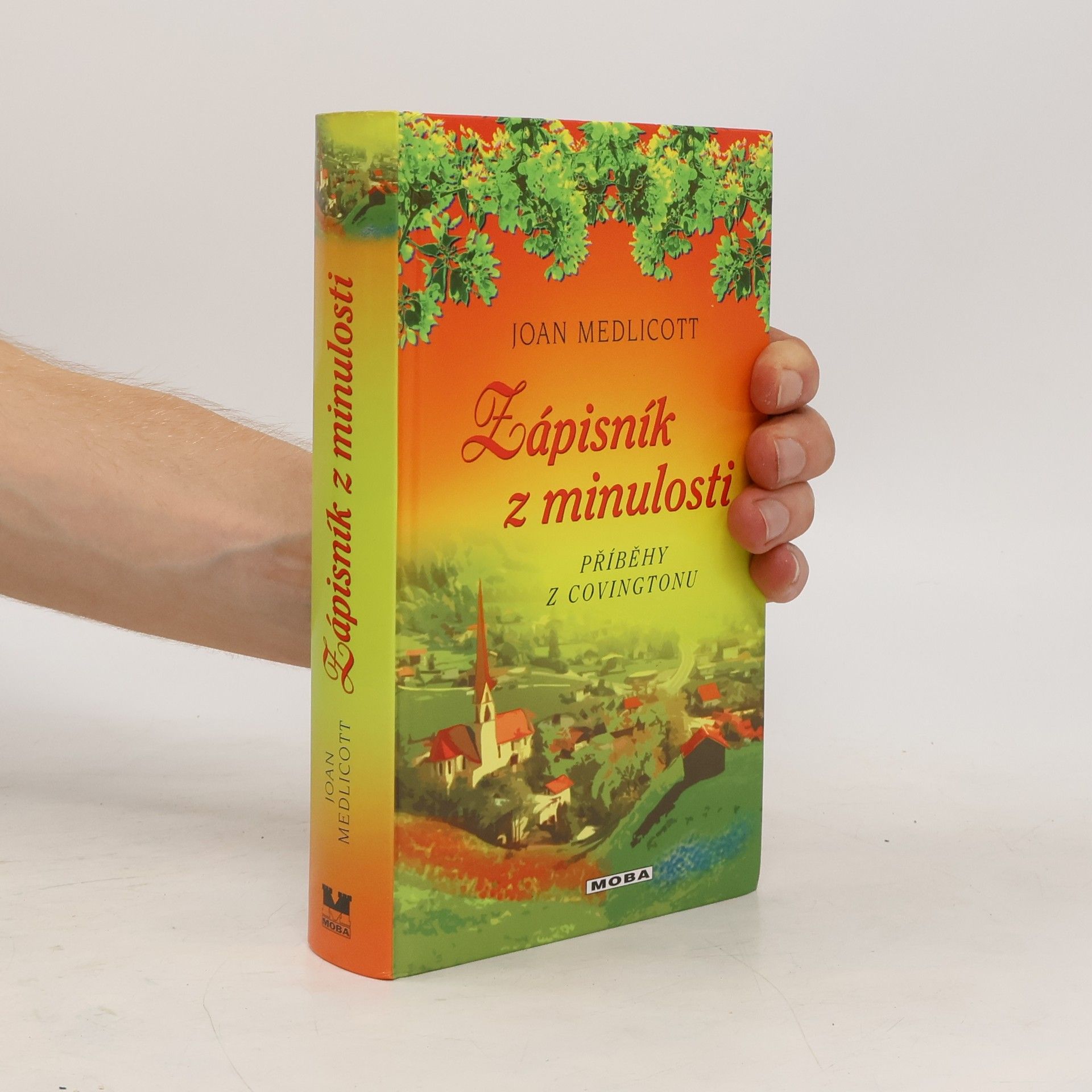 Joan Medlicott Zápisník z minulosti