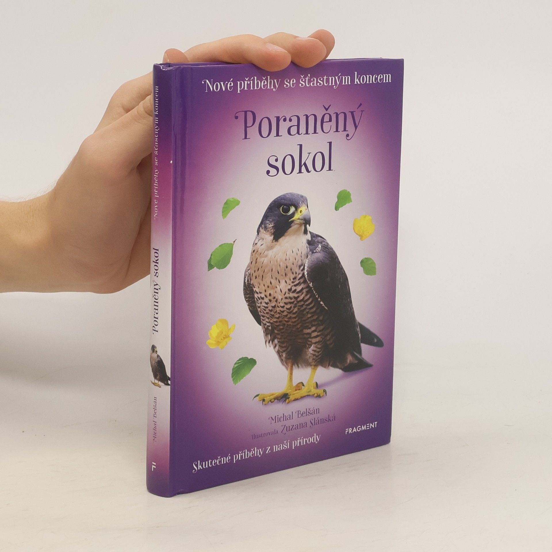 Michal Belšán Poraněný sokol