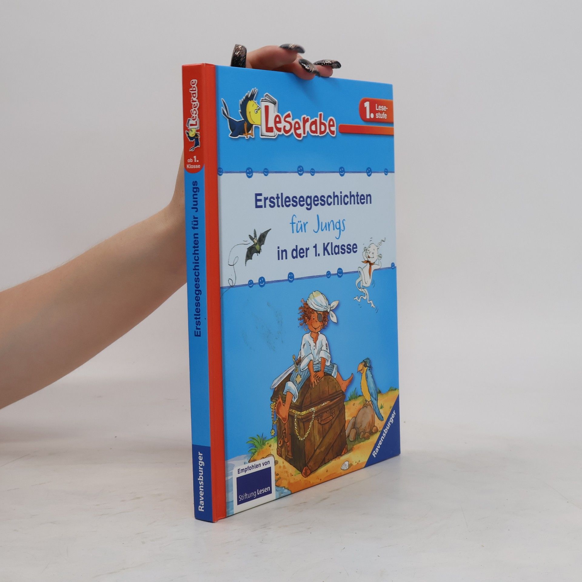 Silke Voigt Erstlesegeschichten für Jungs in der 1. Klasse