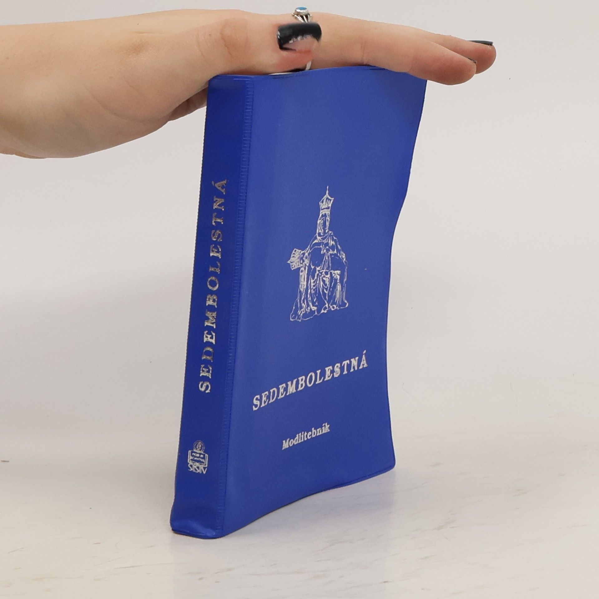 Collectif d'auteurs Sedembolestná