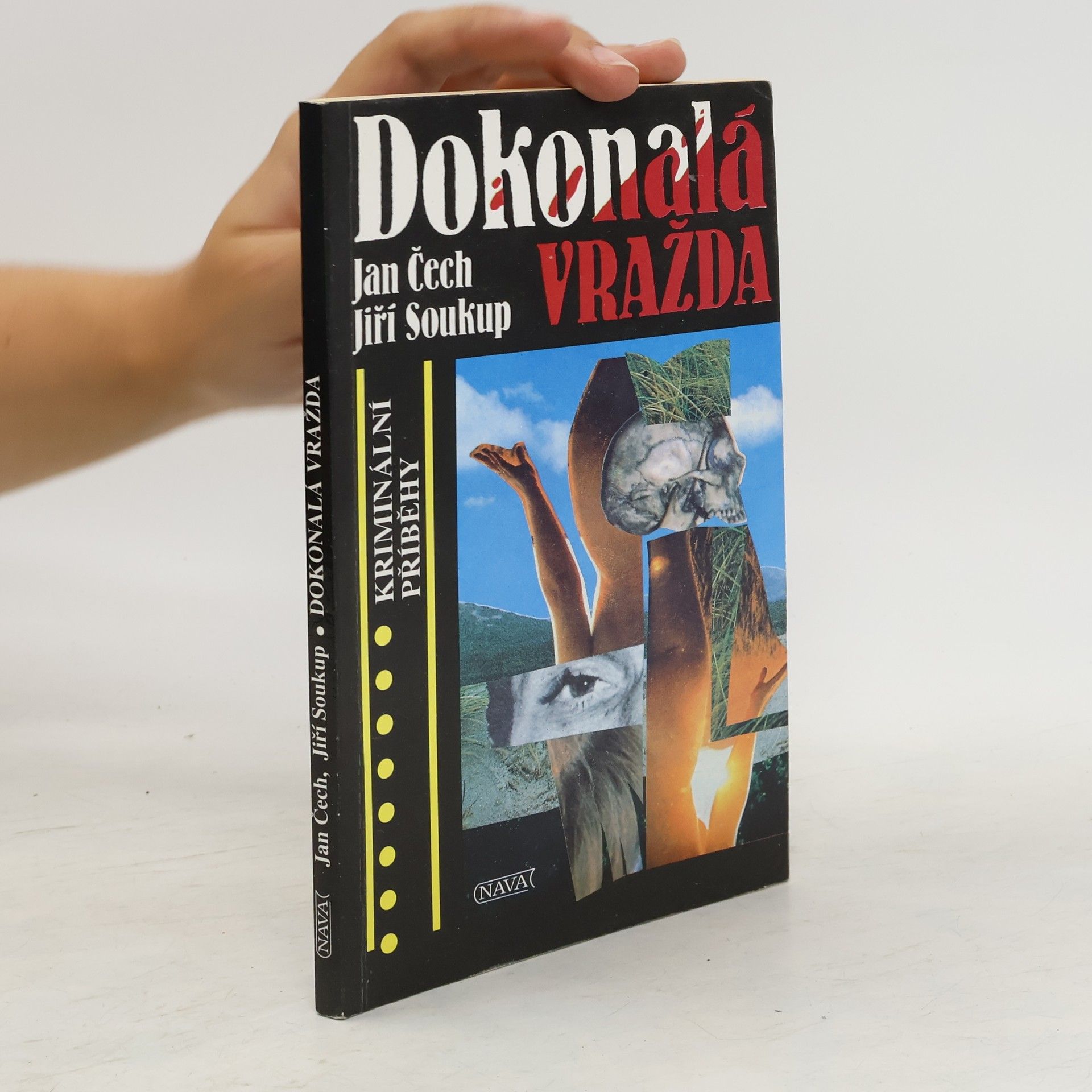 Jiří Soukup Dokonalá vražda