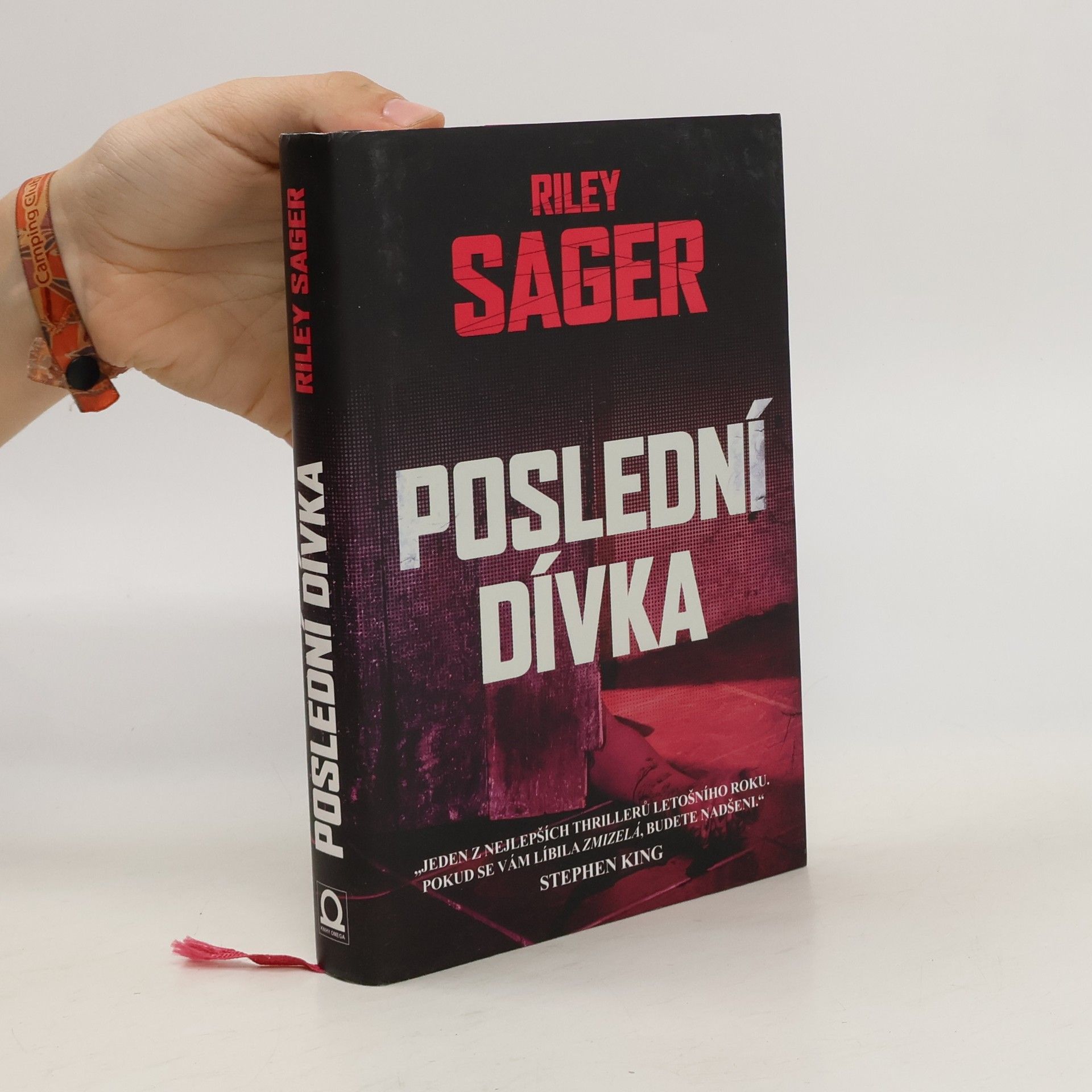 Todd Ritter Poslední dívka
