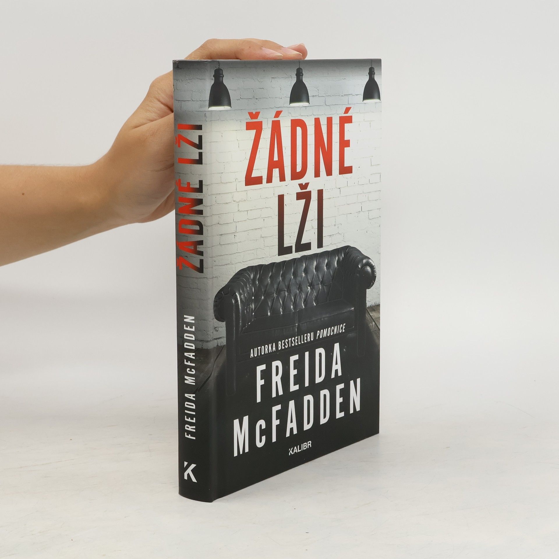 Freida McFadden Žádné lži