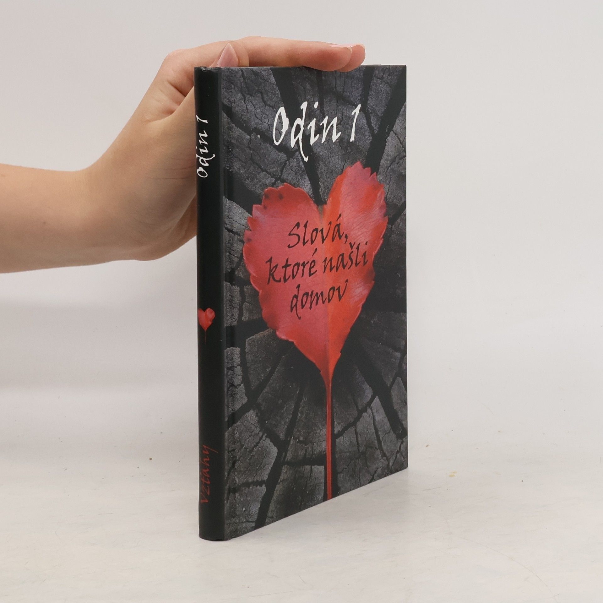 Kolektív autorov Slová, ktoré našli domov