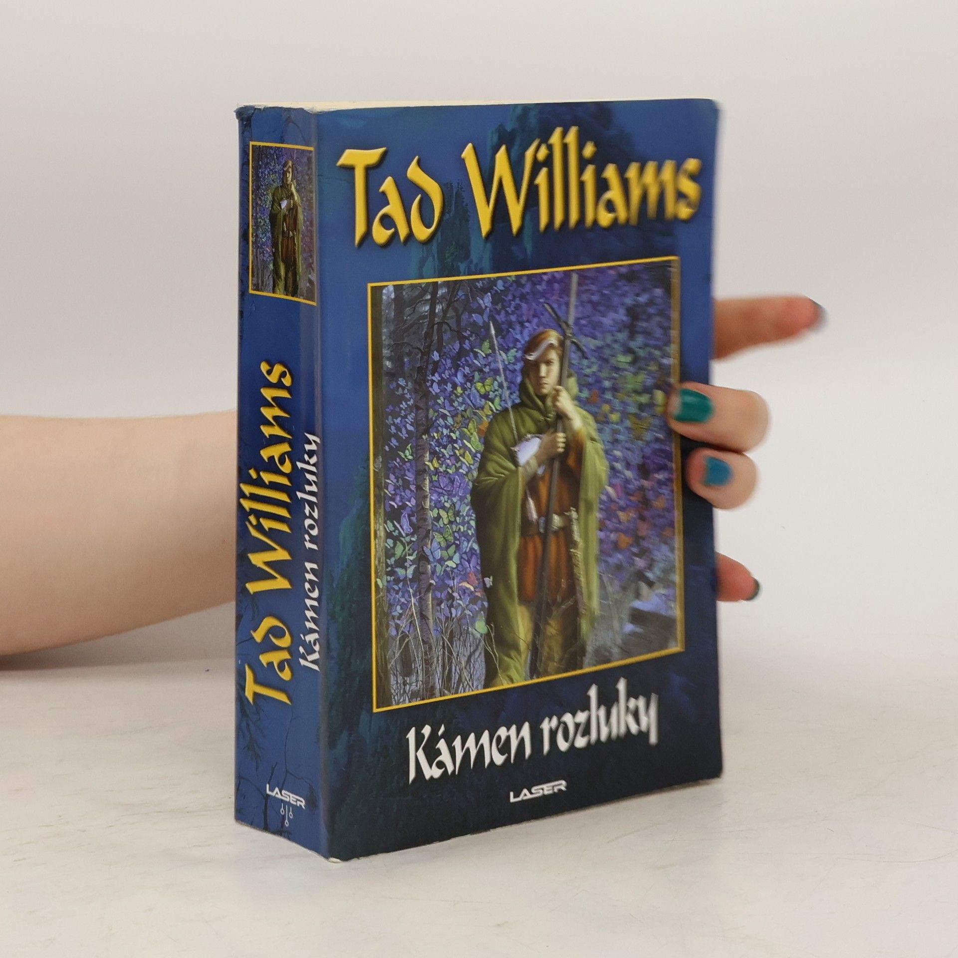 Tad Williams Kámen rozluky