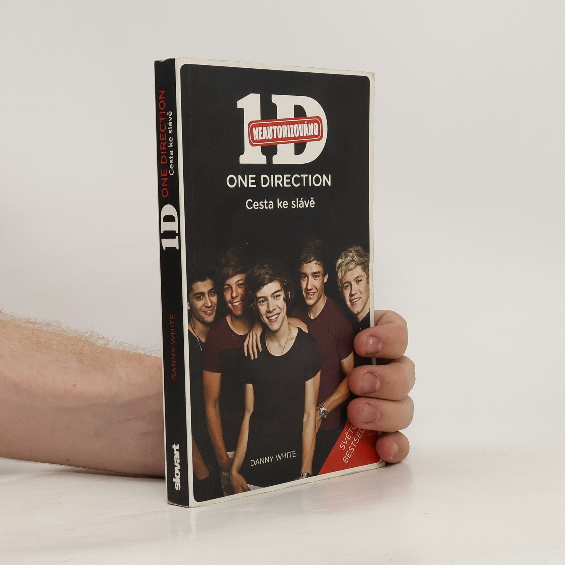 Danny White 1D - One Direction: Cesta ke slávě