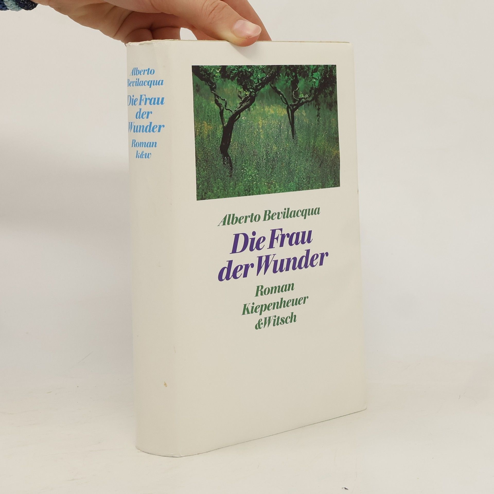 Alberto Bevilacqua Die Frau der Wunder
