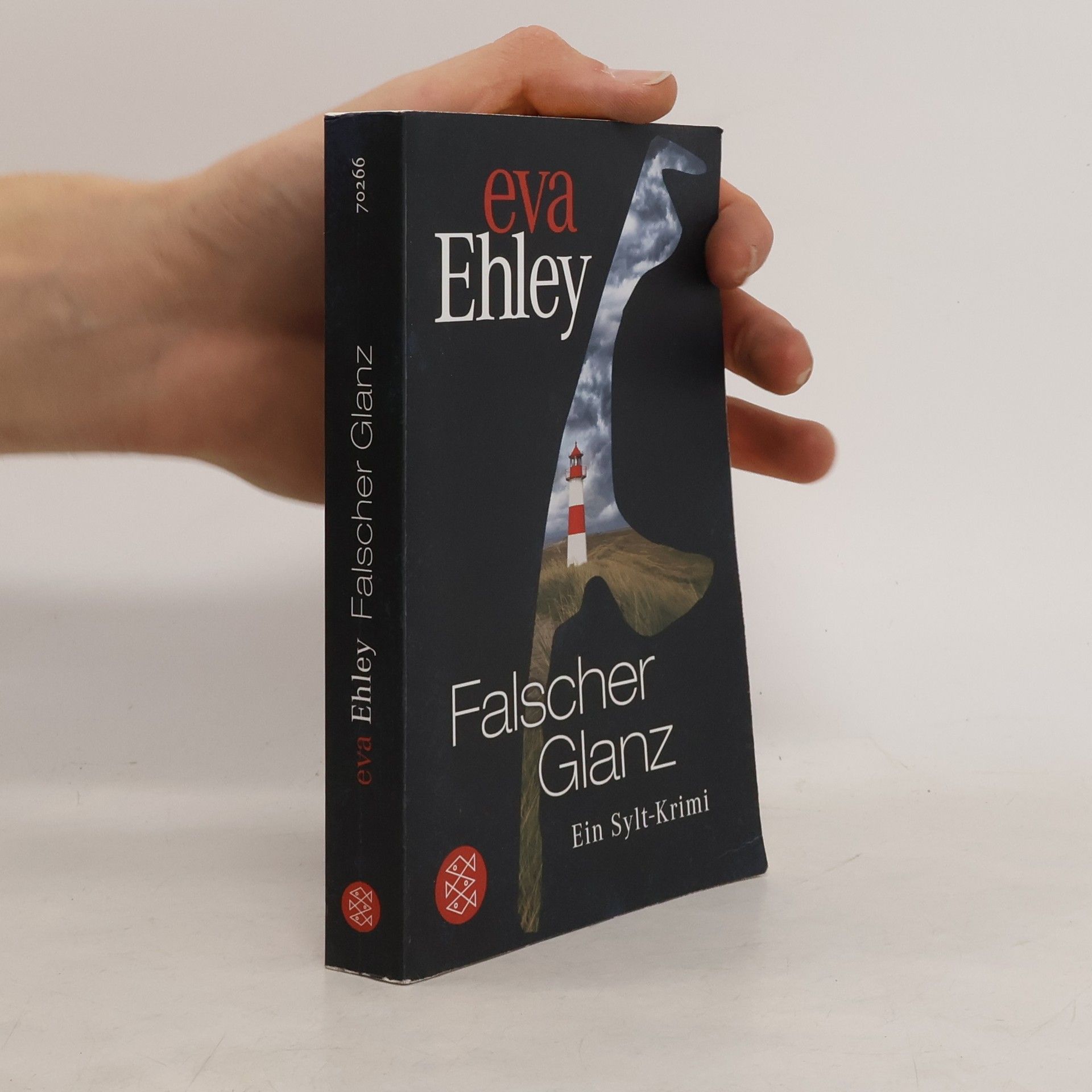 Eva Ehley Falscher Glanz