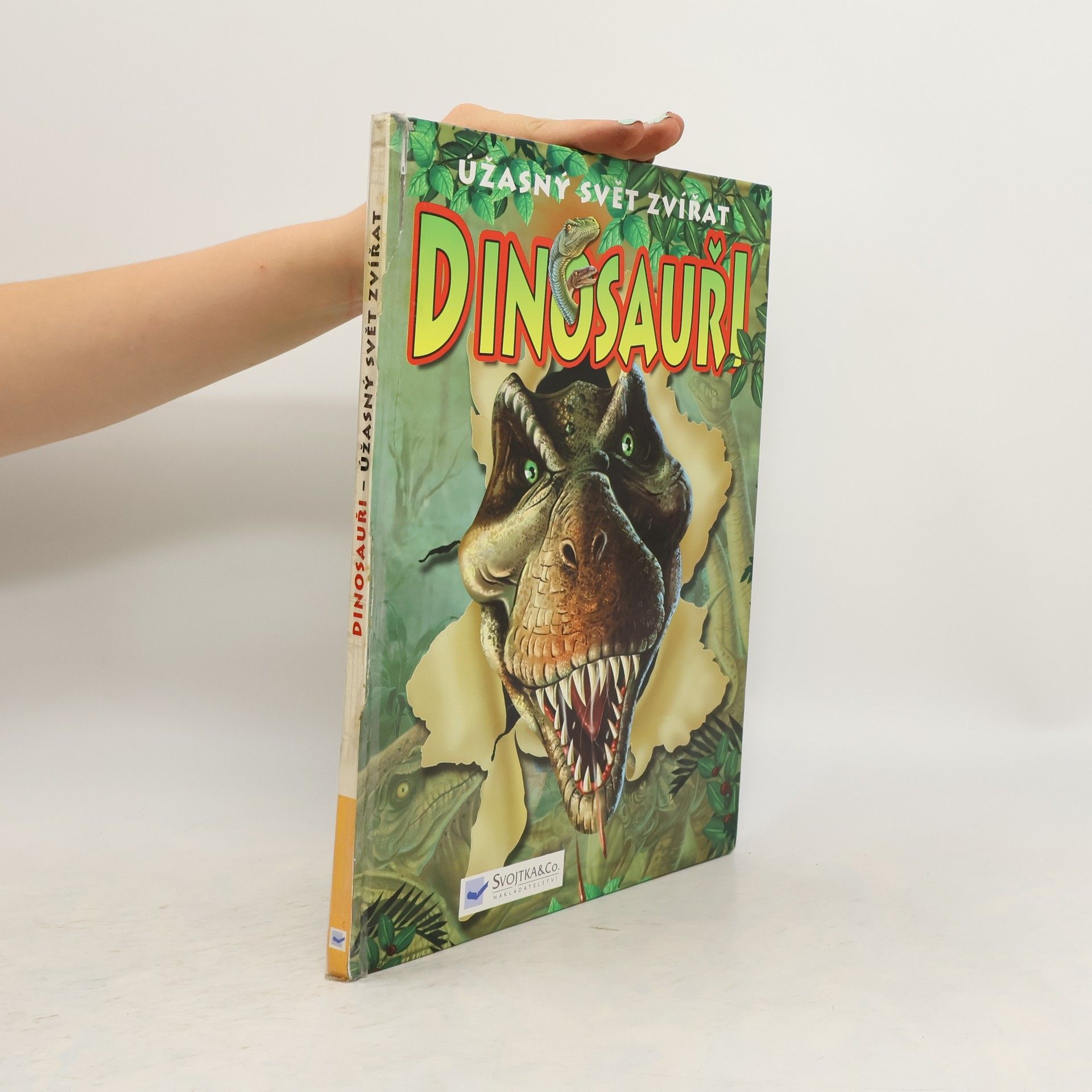 Martin Hrubeš Dinosauři : úžasný svět zvířat
