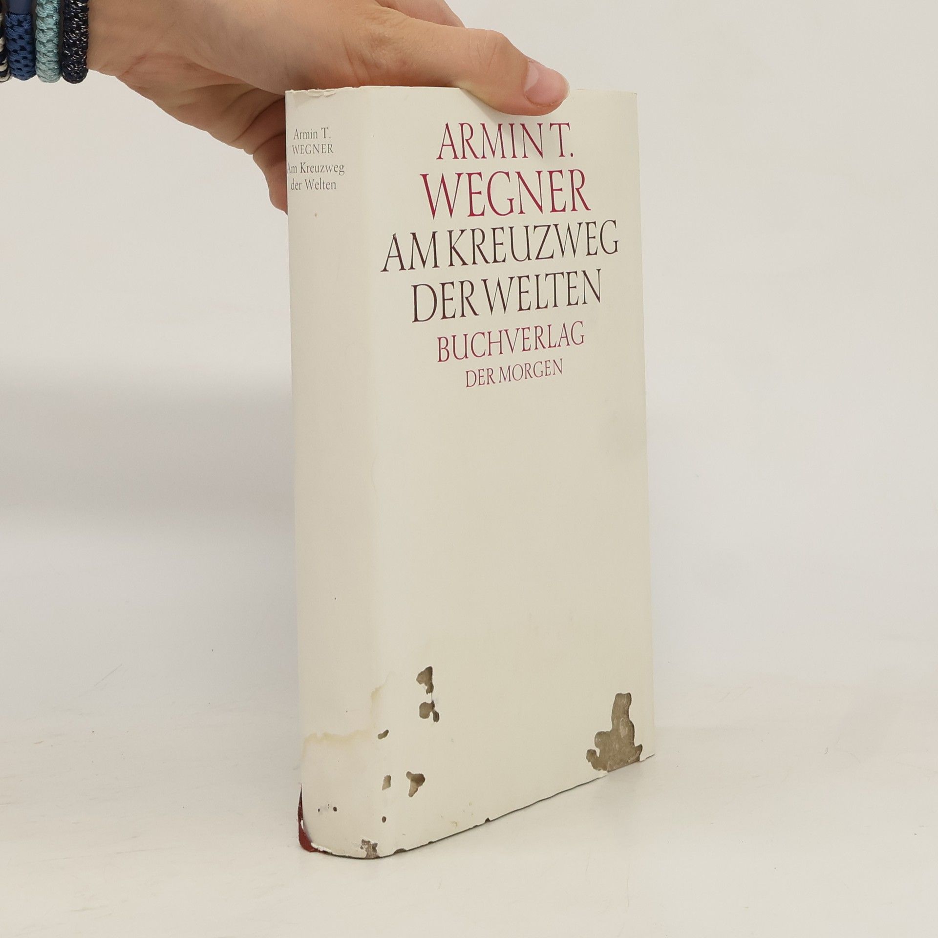 Armin T. Wegner Am Kreuzweg der Welten