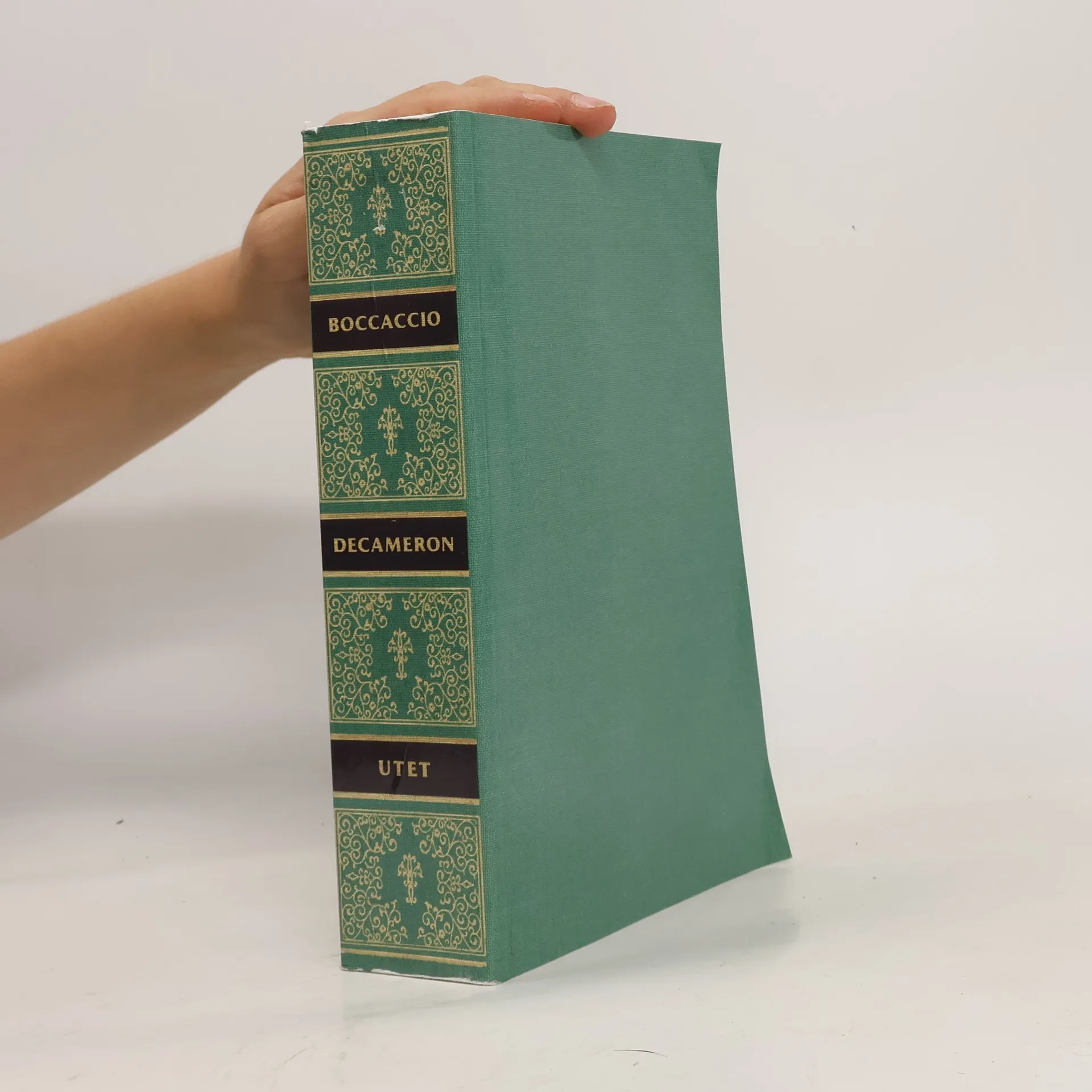 Decameron | Kniha | mäkká | Giovanni Boccaccio | IT