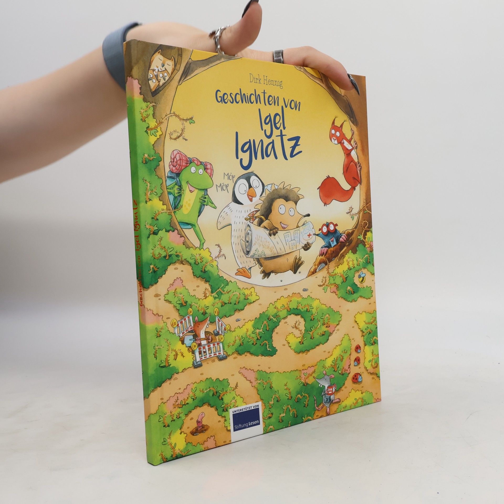 Dirk Hennig Gischisten von Igel Ignatz