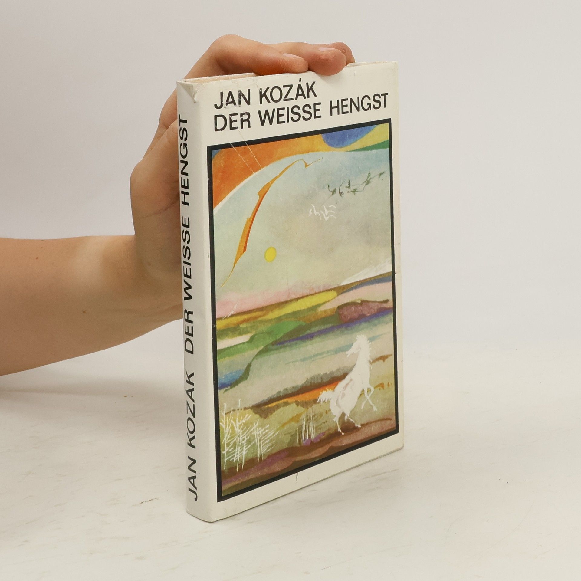 Jan Kozák Der weisse Hengst