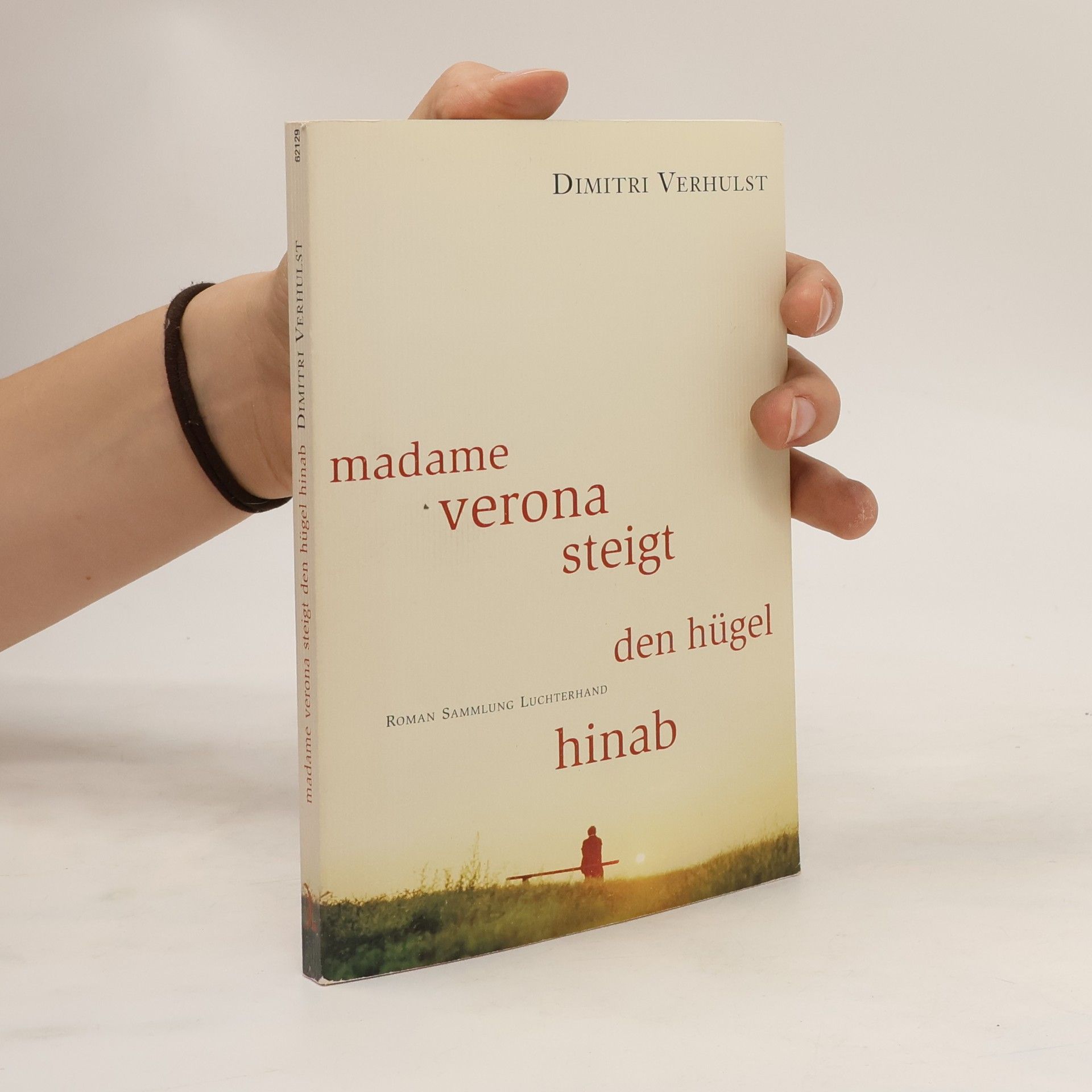 Dimitri Verhulst Madame Verona steigt den Hügel hinab