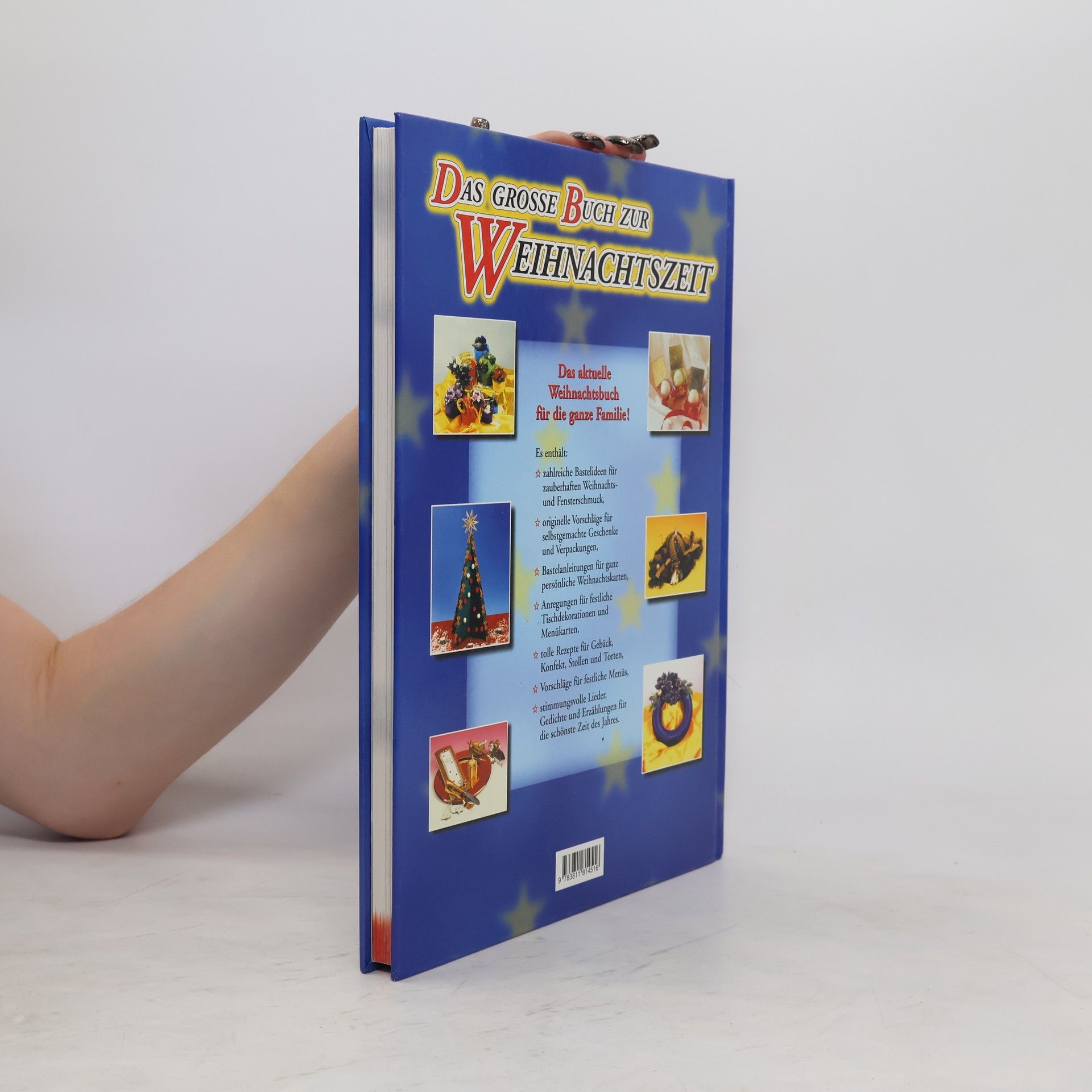 Das große Buch zur Weihnachtszeit