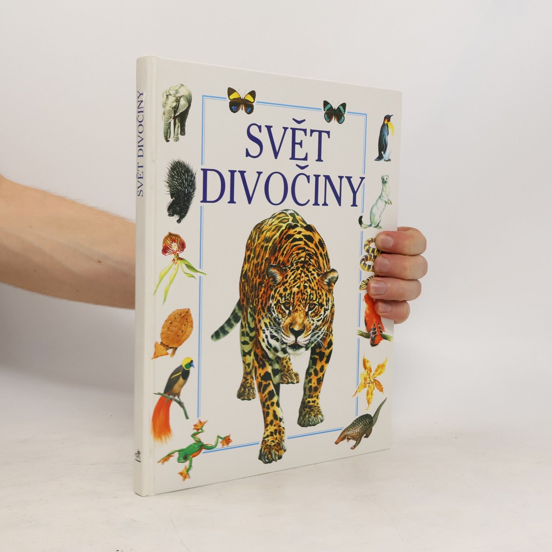 Ian Jackson Svět divočiny