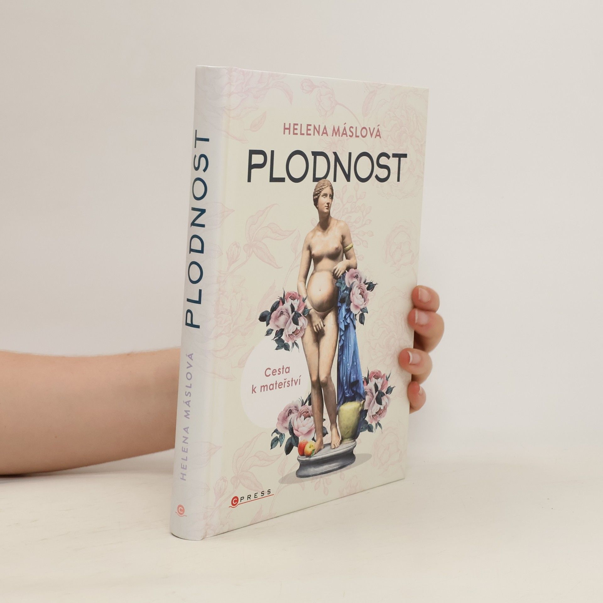 Helena Máslová Plodnost : cesta k mateřství