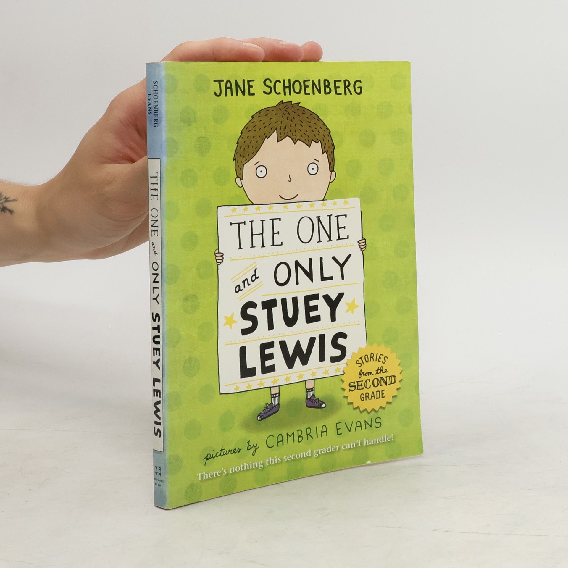 Jane Schoenberg The One and Only Stuey Lewis
