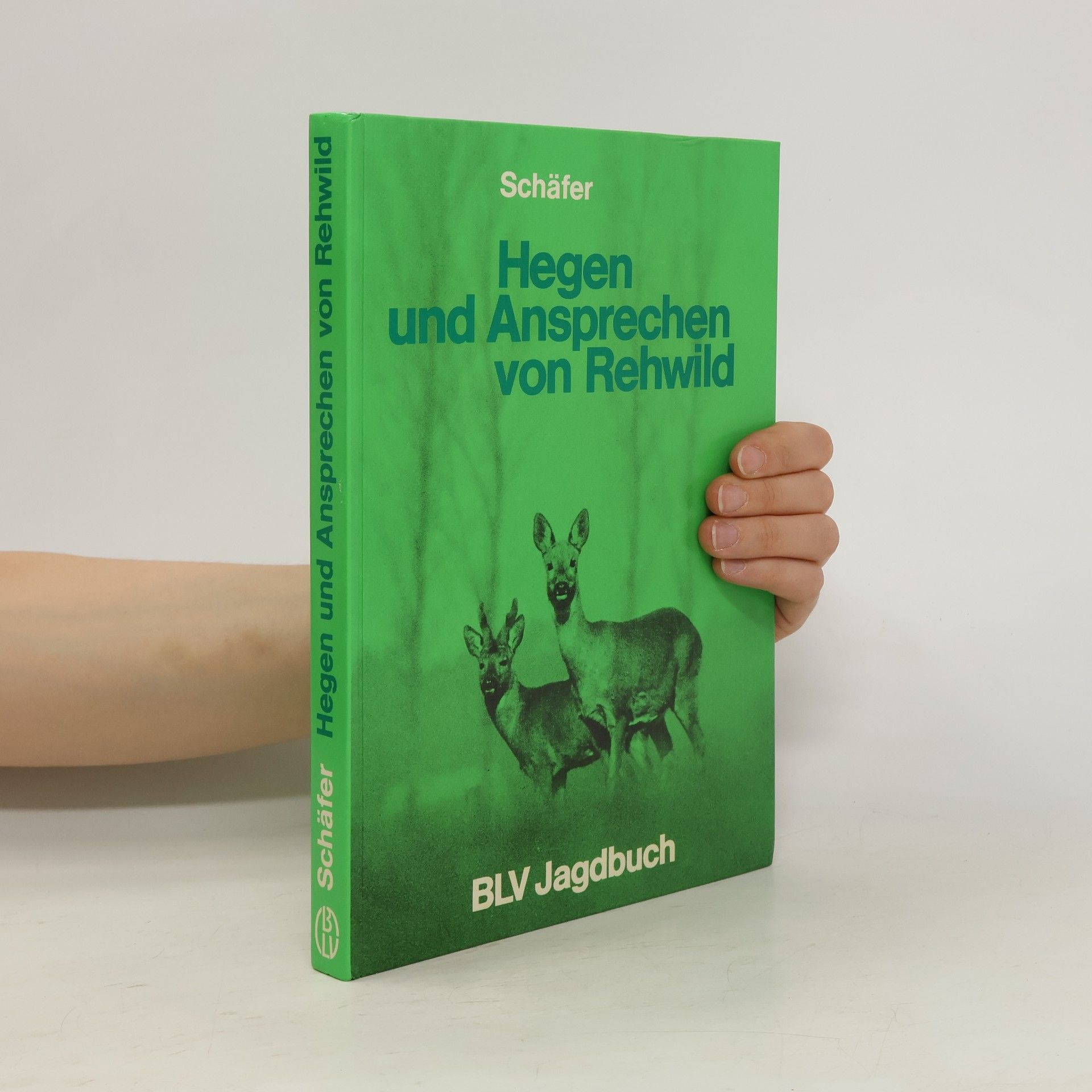 Ernst Schäfer Hegen und Ansprechen von Rehwild