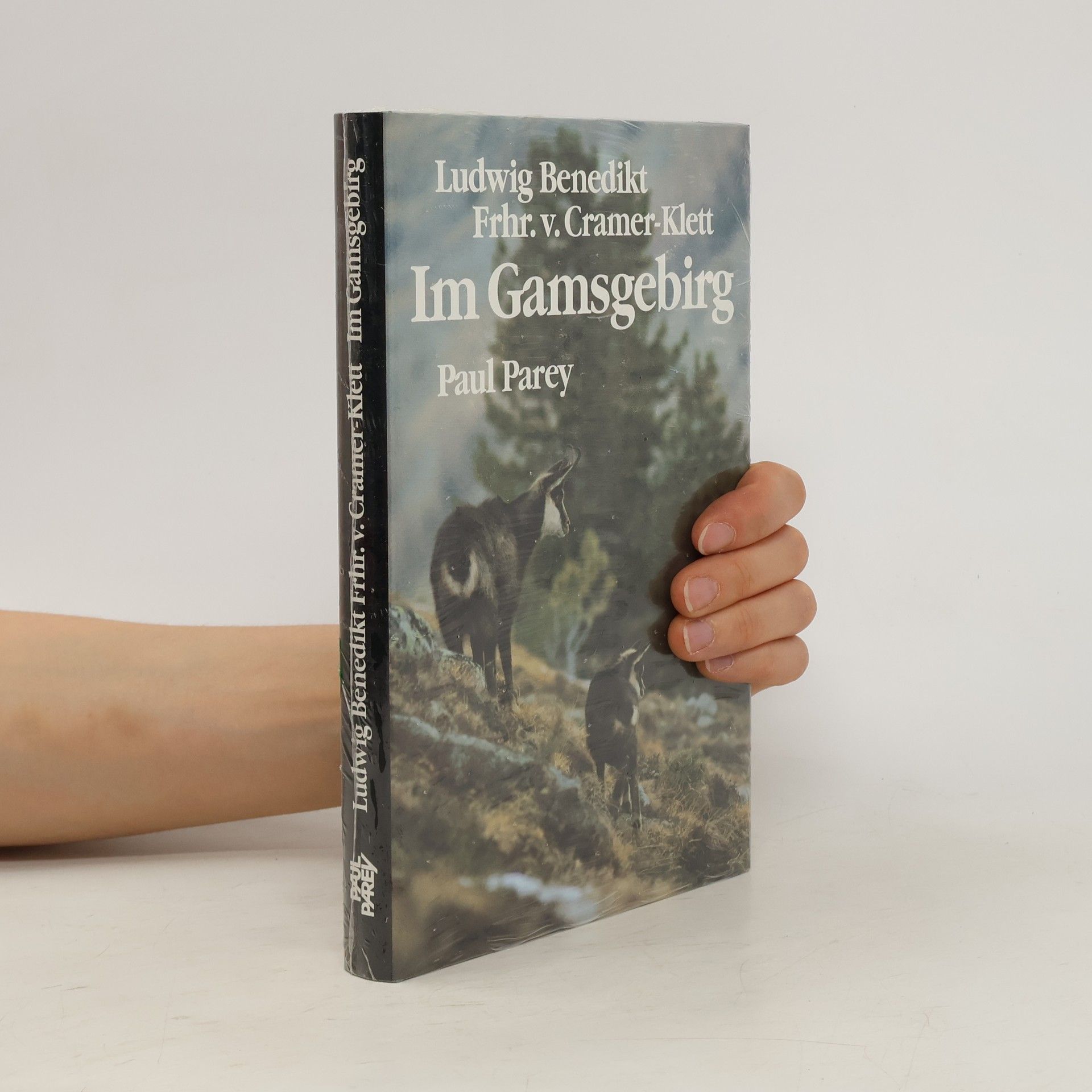Ludwig Benedikt Cramer Klett Im Gamsgebirg