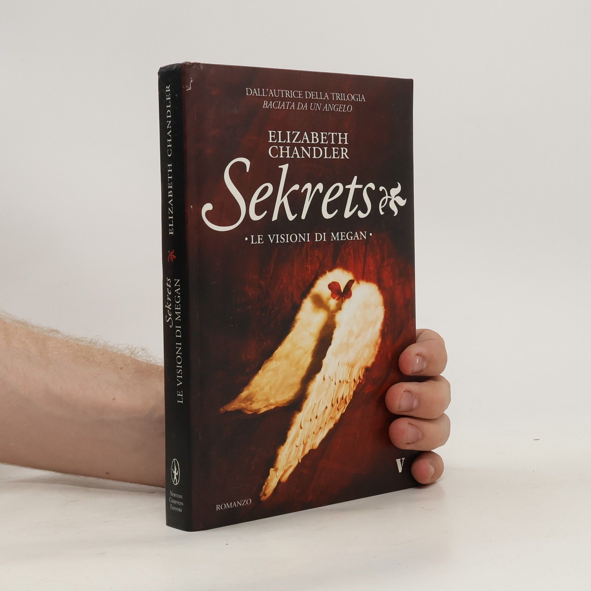 Elizabeth Chandler Sekrets. Le visioni di Megan