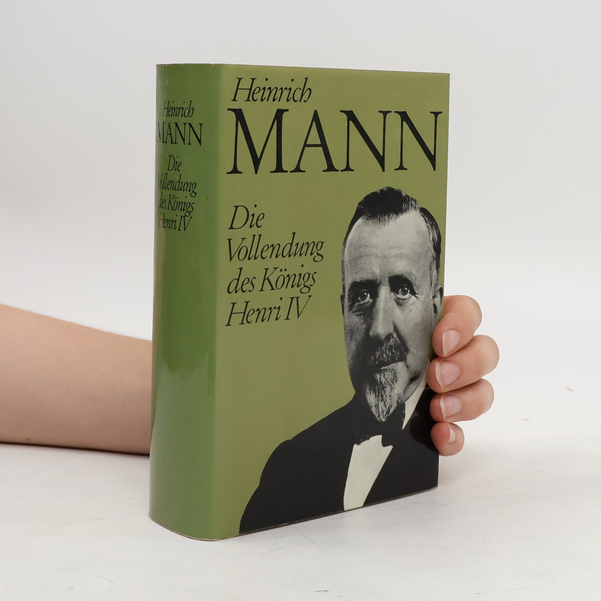Heinrich Mann Die Gestaltung des Königs Henri IV