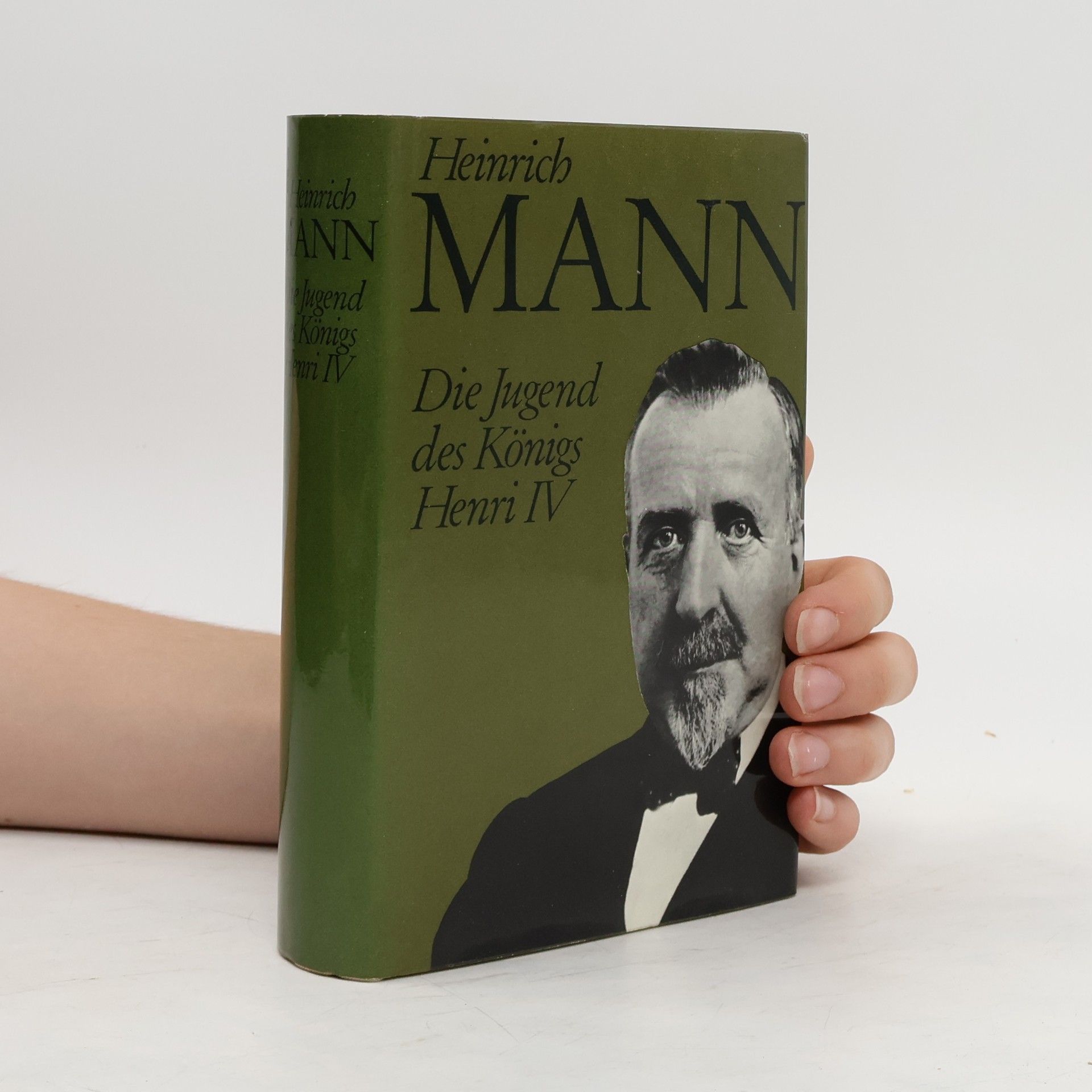 Heinrich Mann Die Jugend des Königs Henri IV