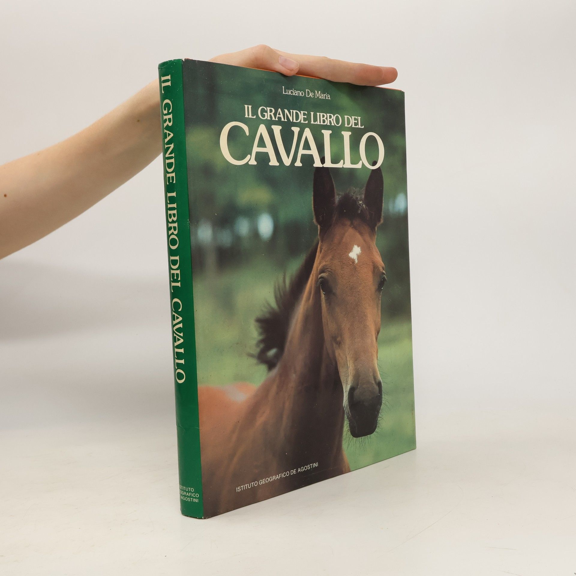 Luciano De Maria Il grande libro del cavallo
