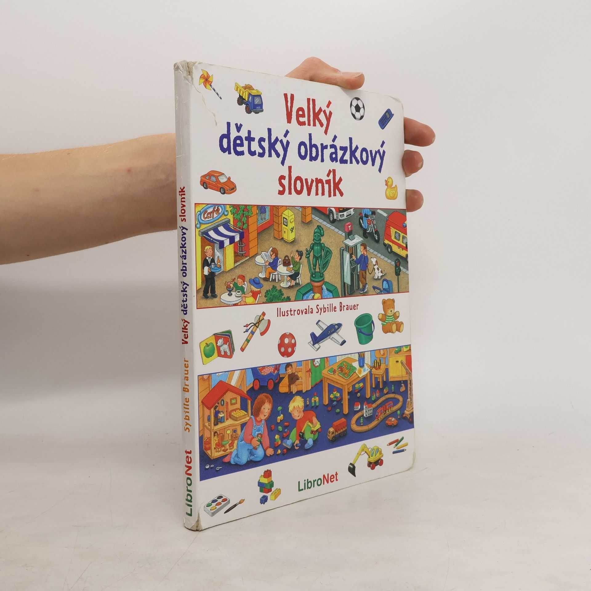 Sybille Brauer Velký dětský obrázkový slovník