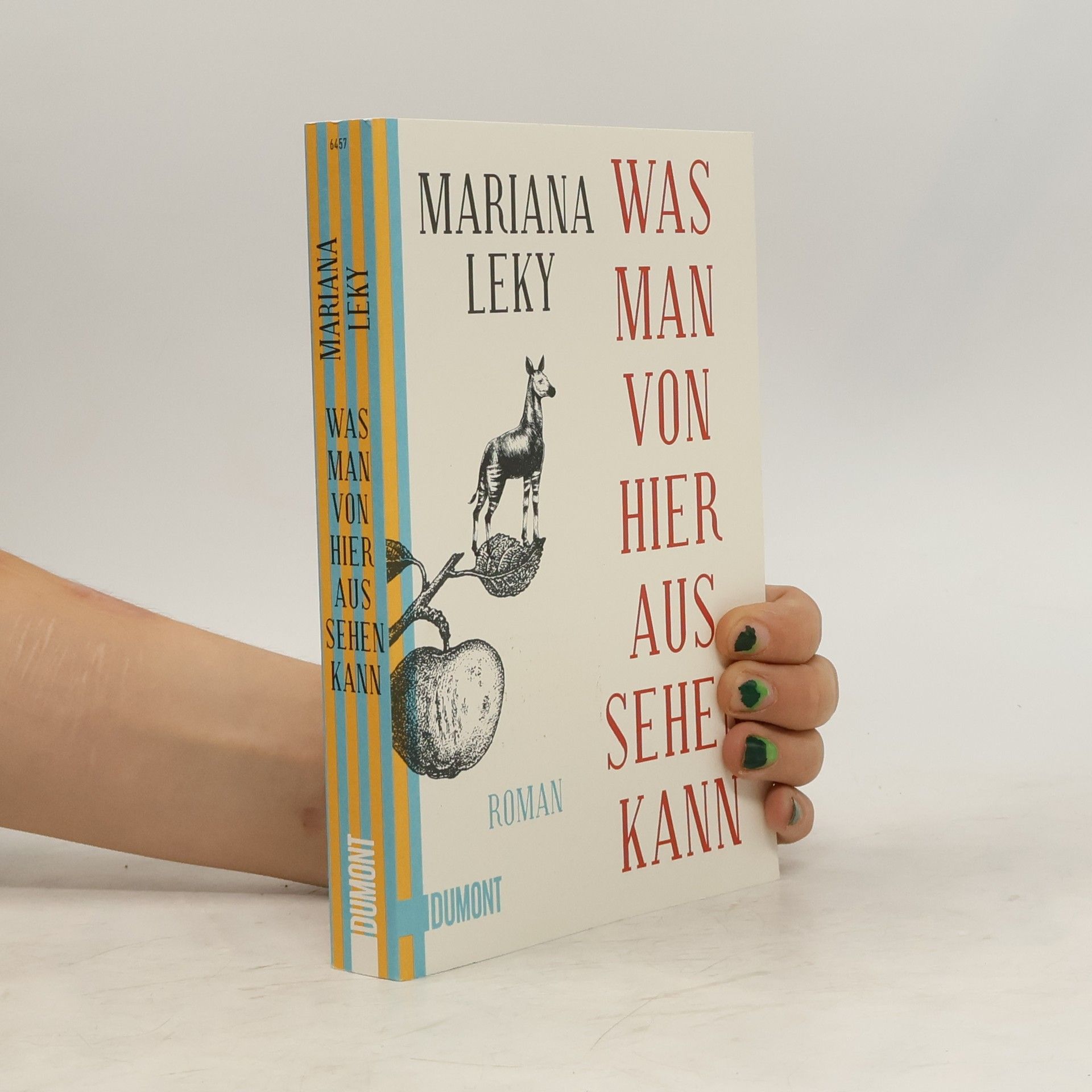 Mariana Leky Was man von hier aus sehen kann