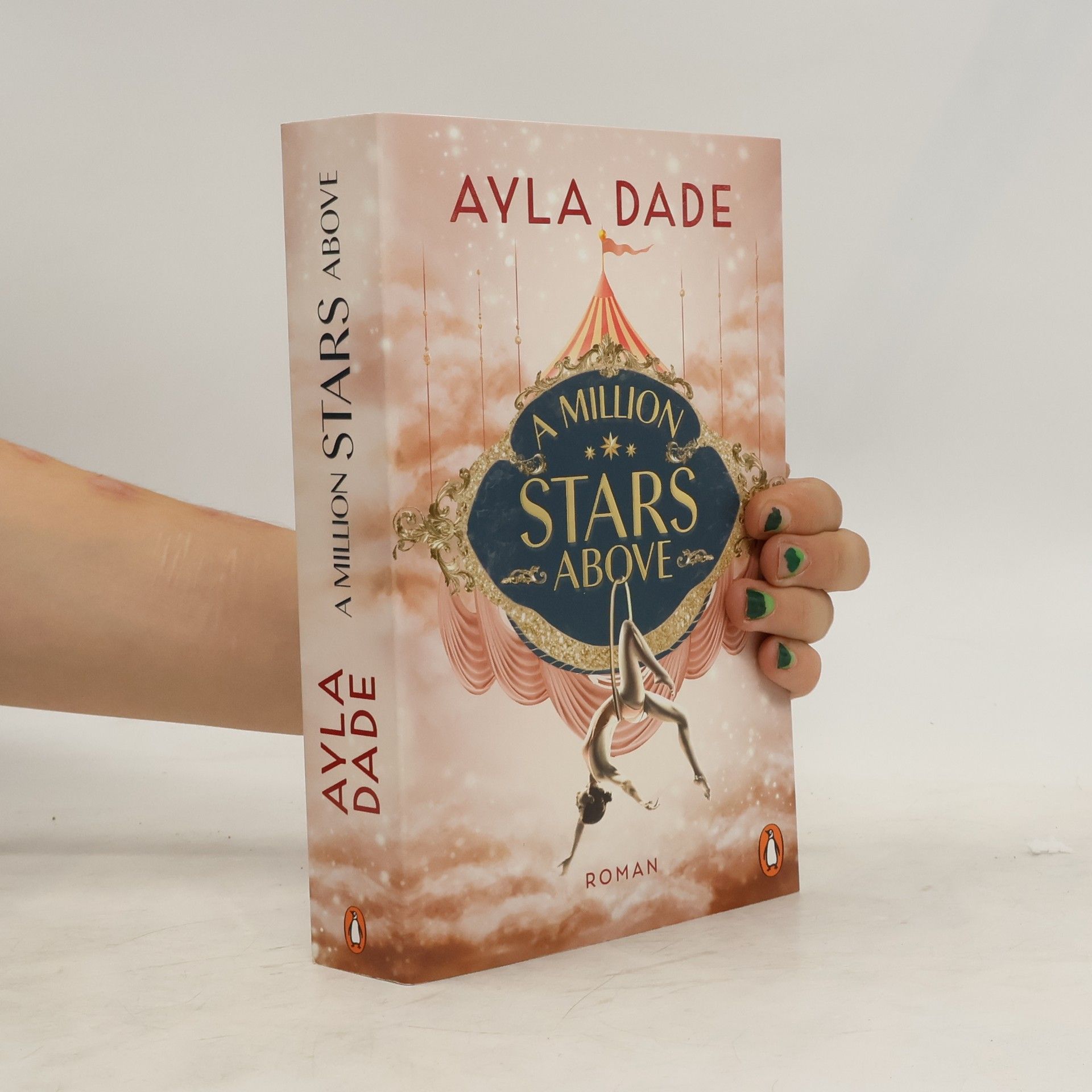 Ayla Dade A Million Stars Above / Sky Circus Bd.1