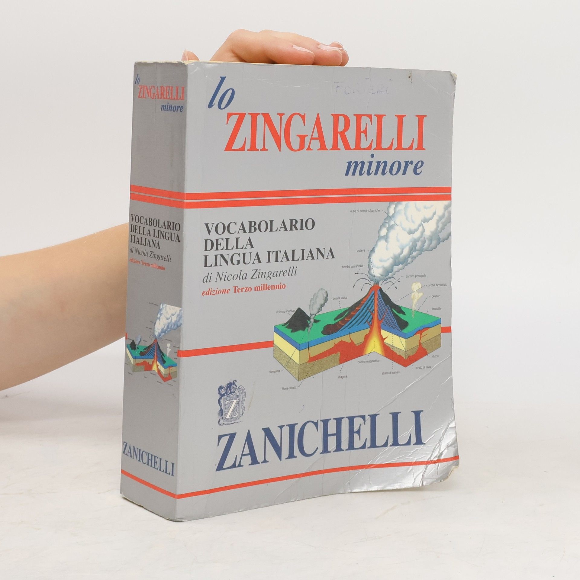 Nicola Zingarelli Lo Zingarelli minore