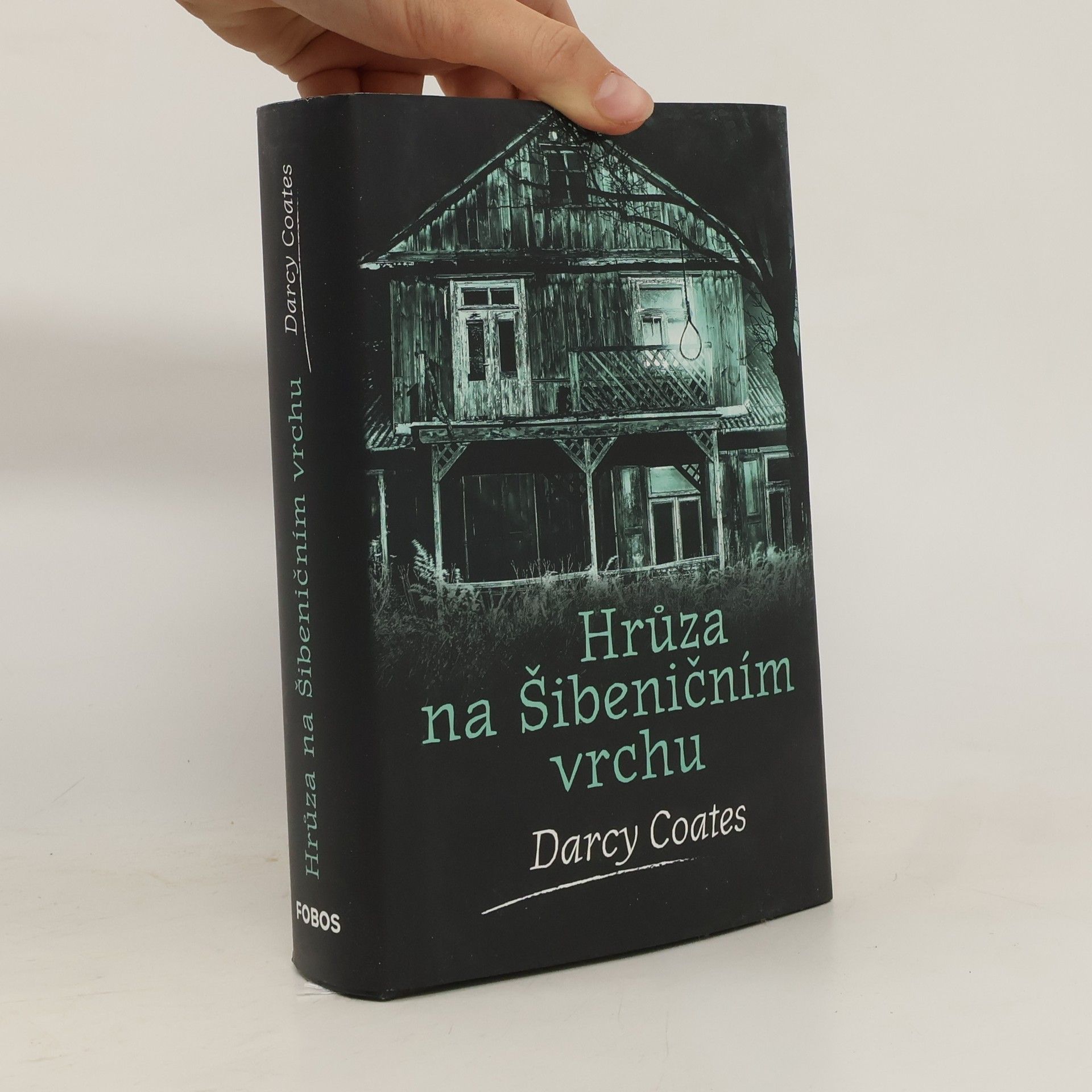 Darcy Coates Hrůza na Šibeničním vrchu