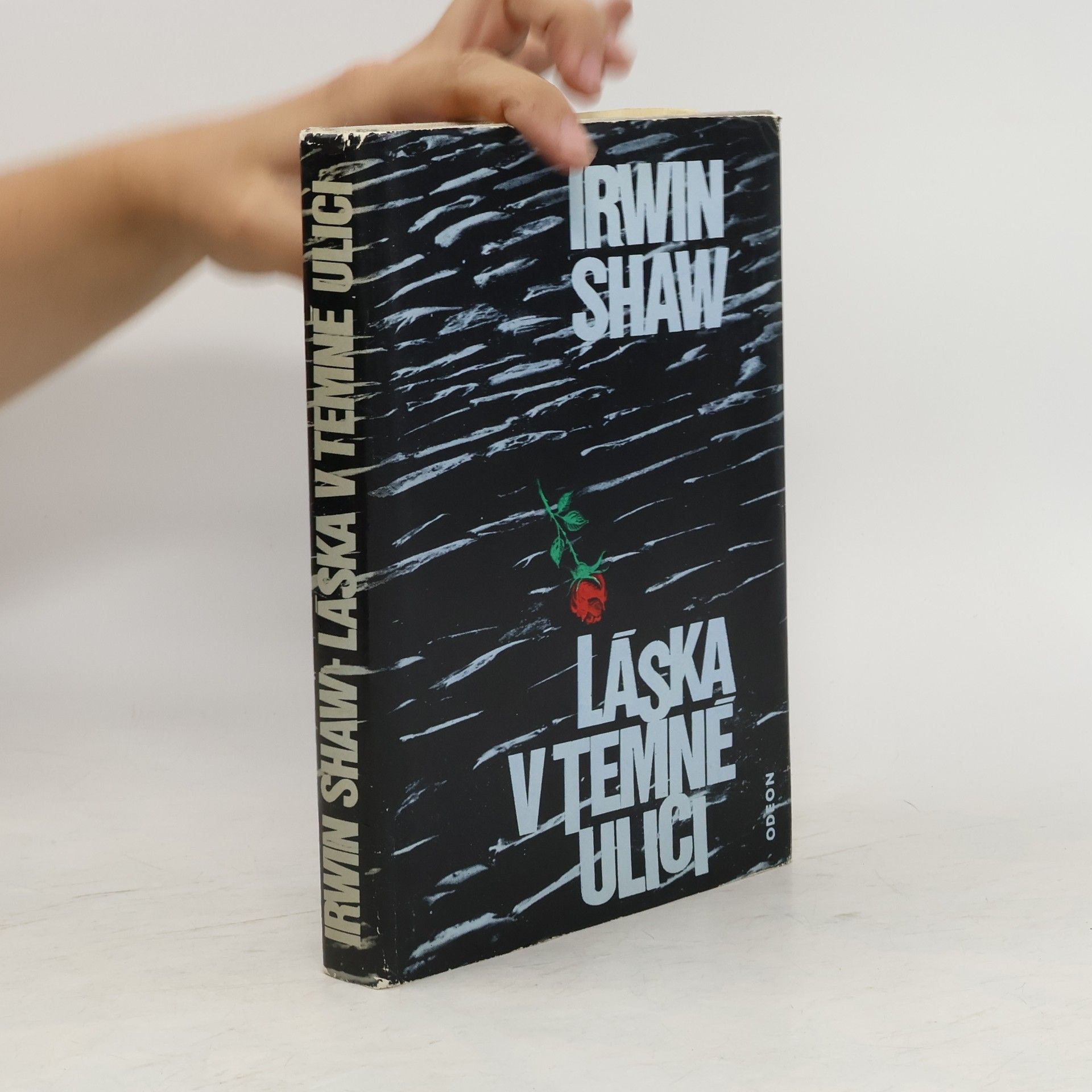 Irwin Shaw Láska v temné ulici