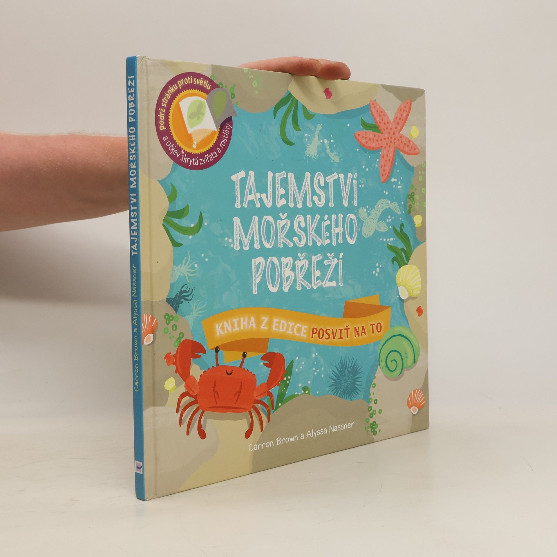 Carron Brown Tajemství mořského pobřeží