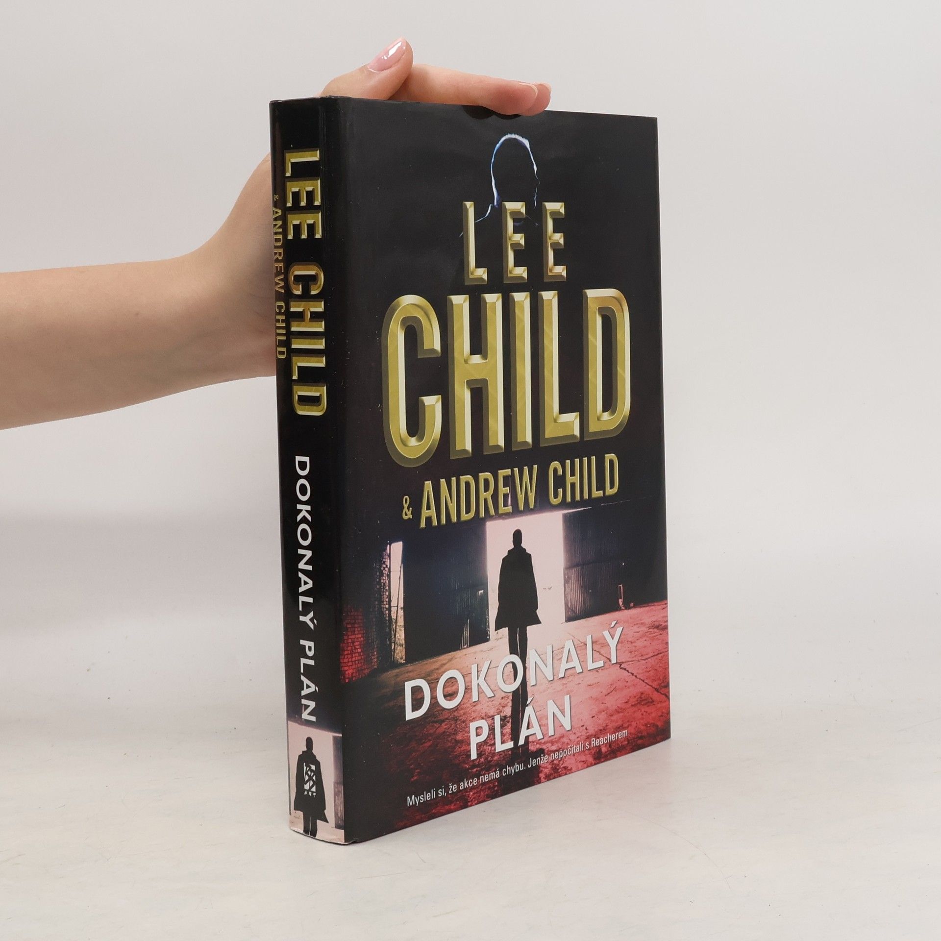 Lee Child Dokonalý plán