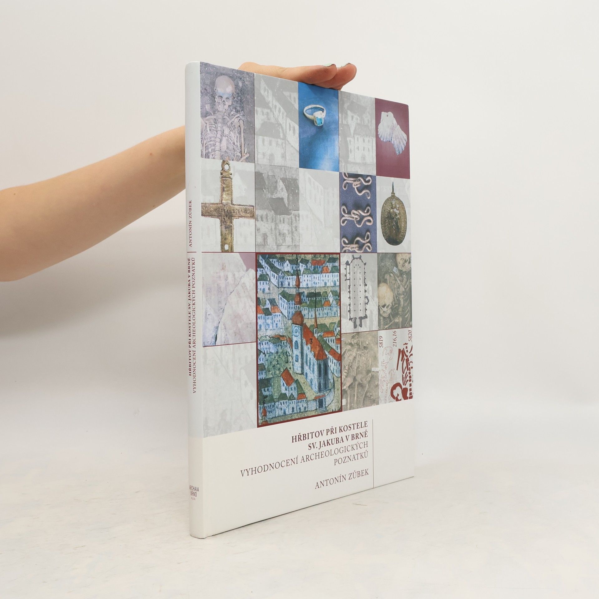 Antonín Zůbek Hřbitov při kostele sv. Jakuba v Brně