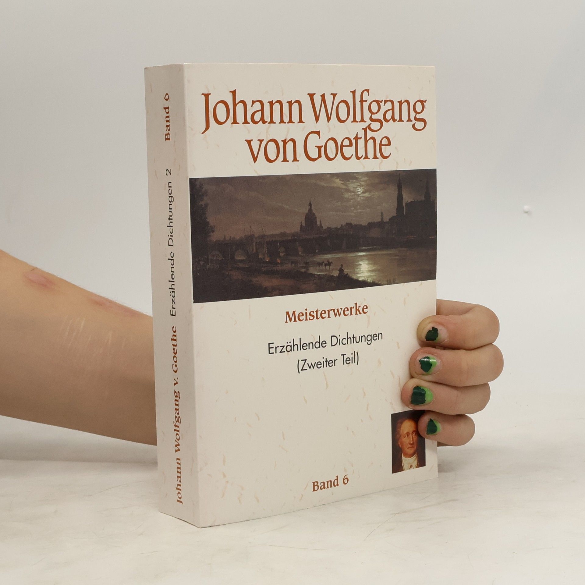 Johann Wolfgang von Goethe Meisterwerke: Erzählande Dichtungen (Zweiter Teil). Band 6