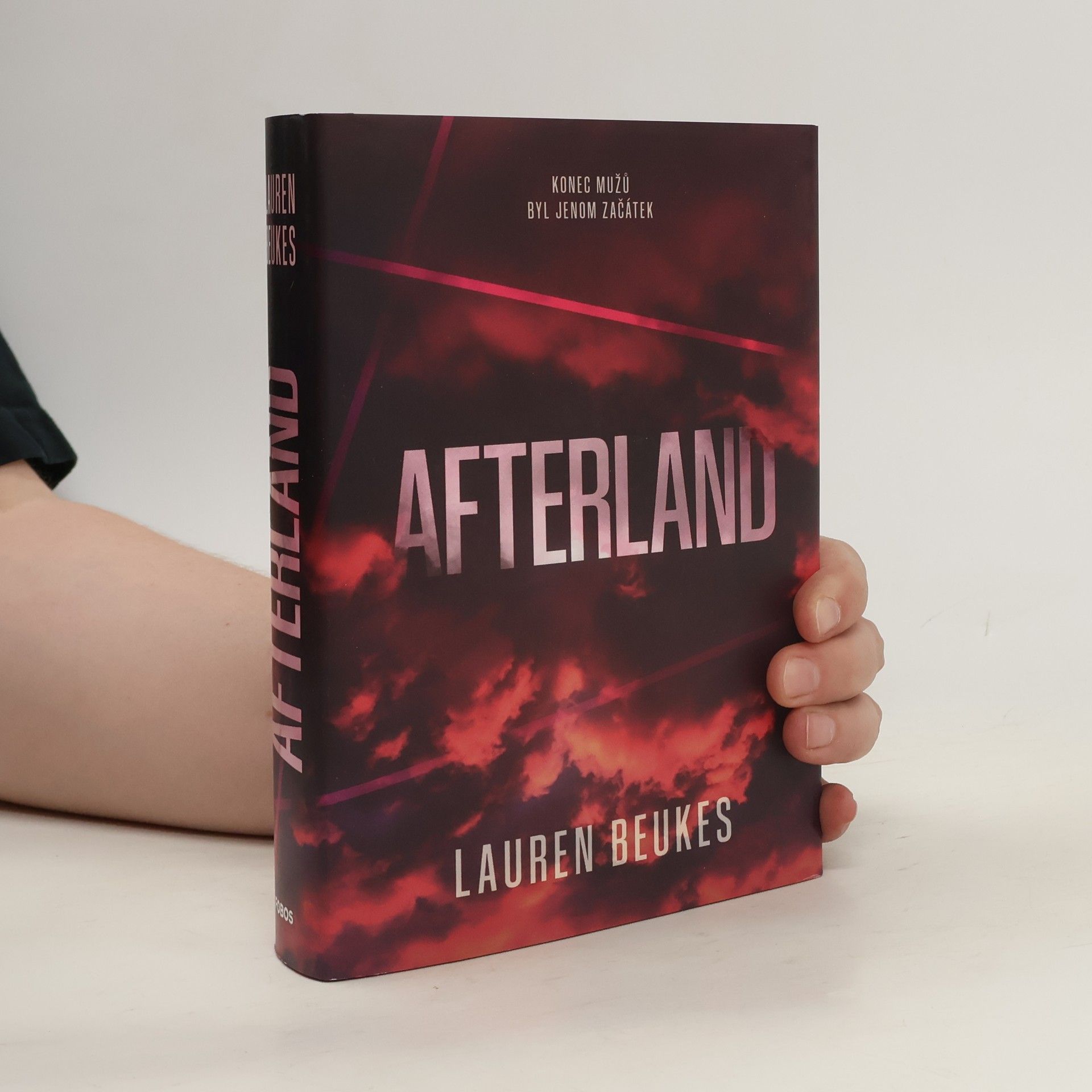 Lauren Beukes Afterland