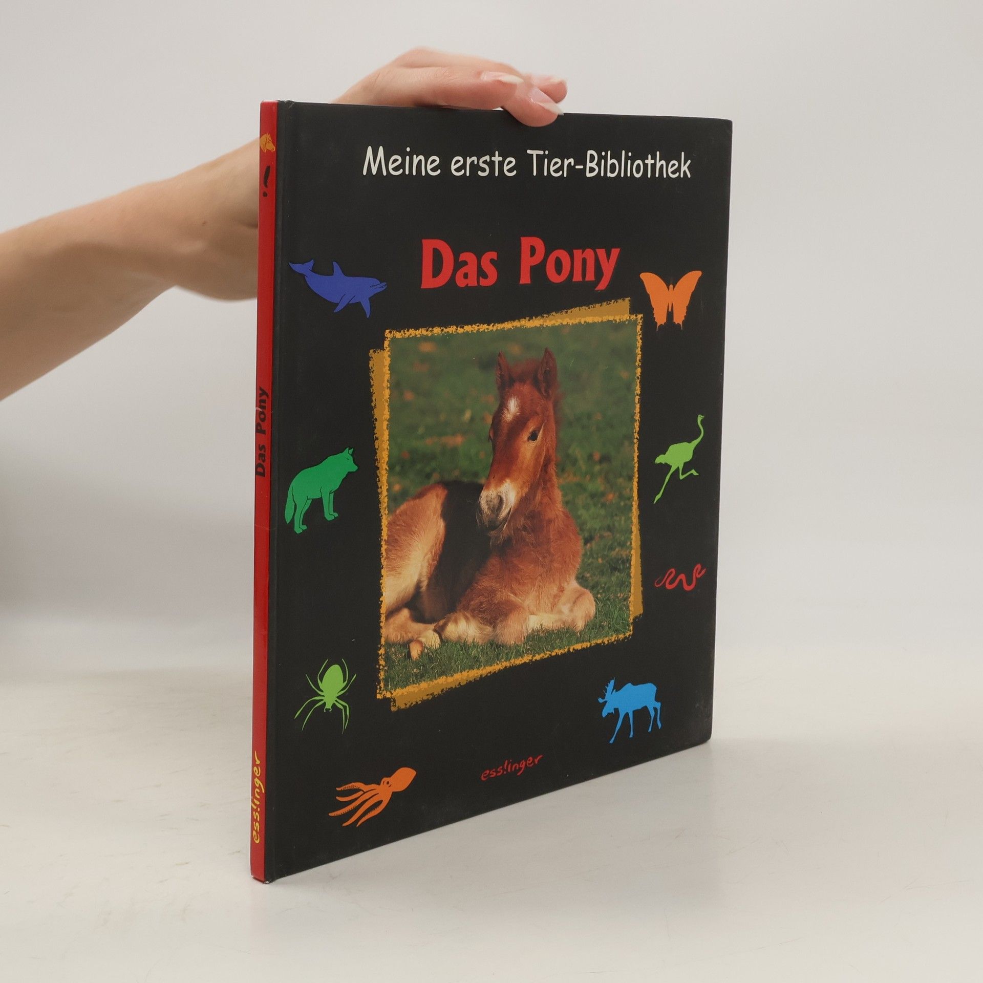 Valérie Tracqui Das Pony