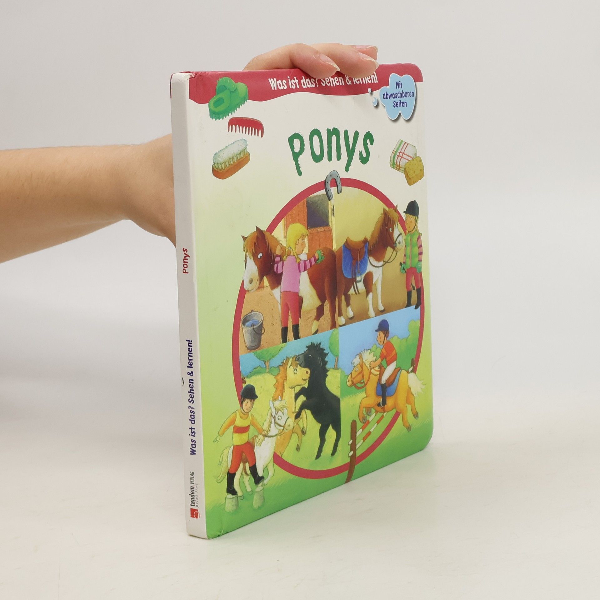 Autorenkollektiv Ponys