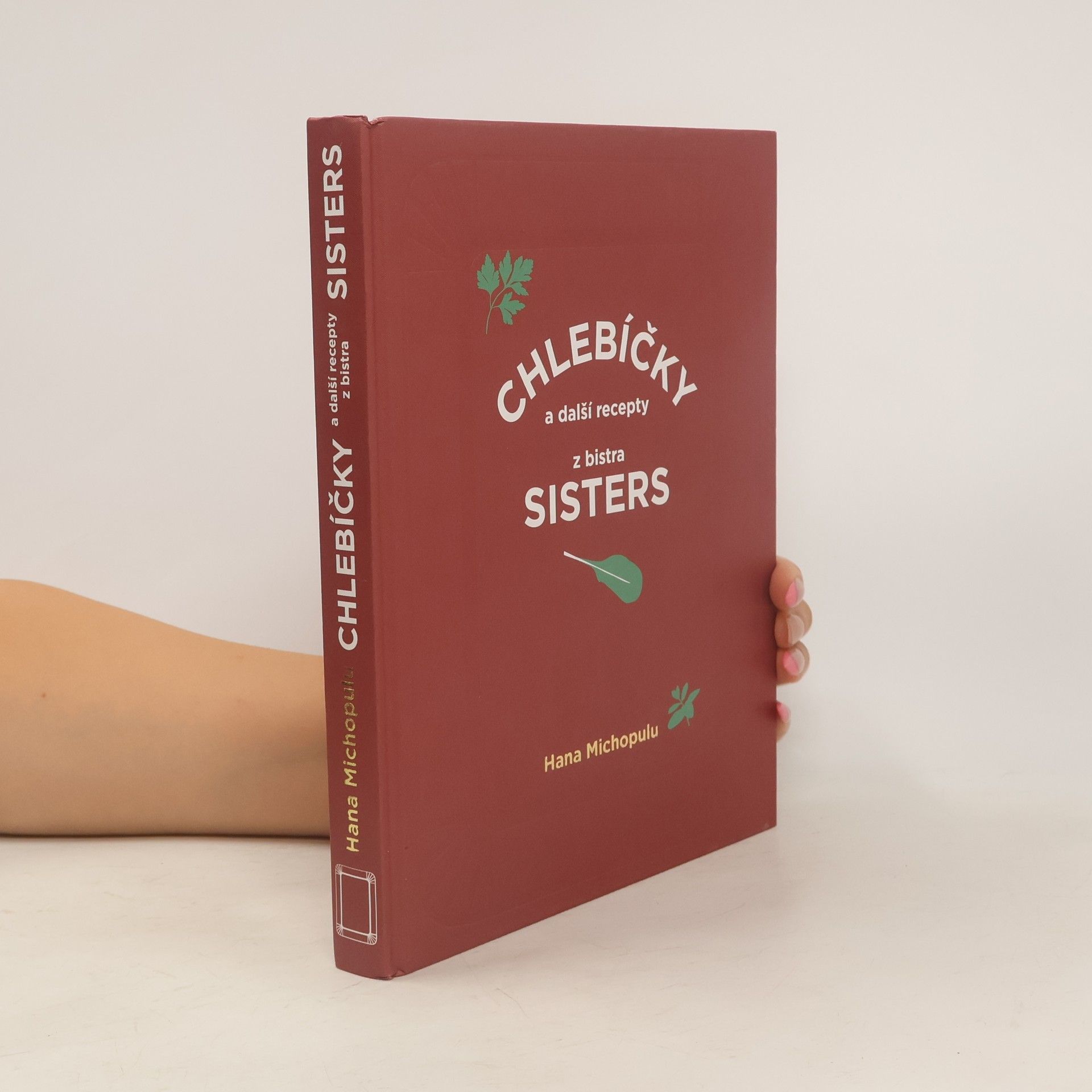 Hana Michopulu Chlebíčky a další recepty z bistra Sisters