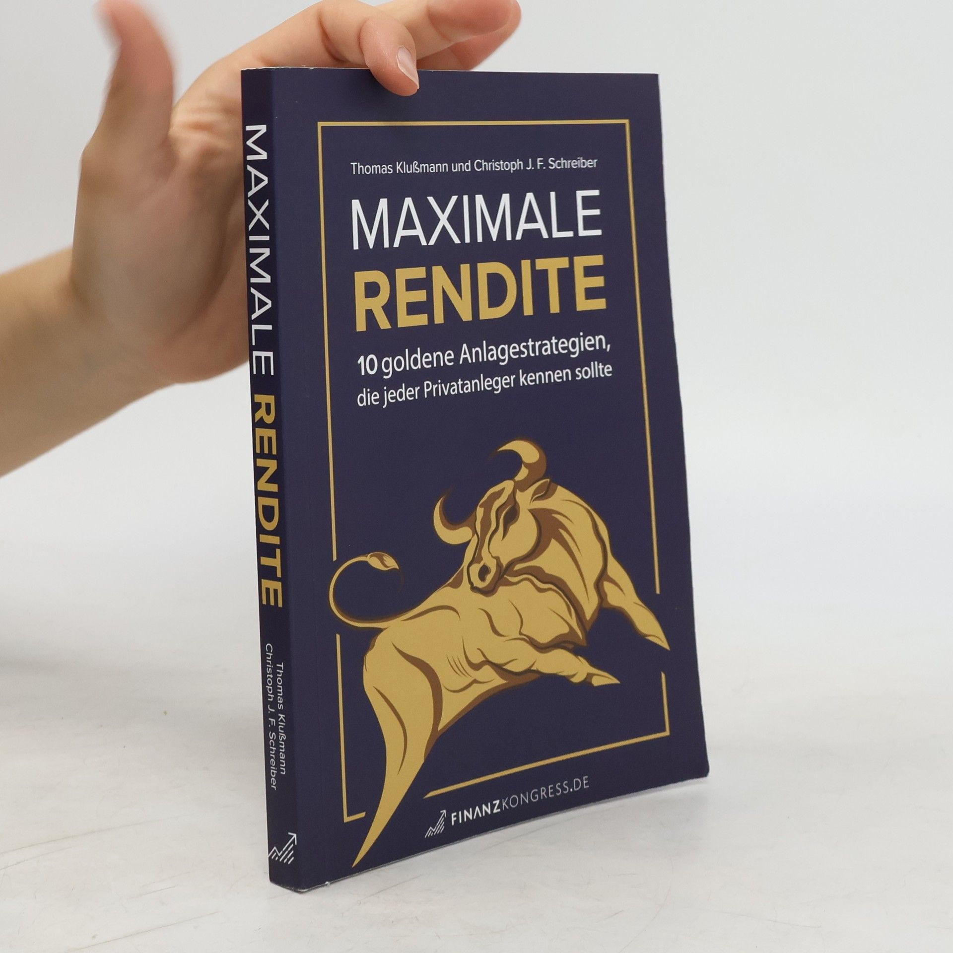 Thomas Klußmann Maximale Rendite