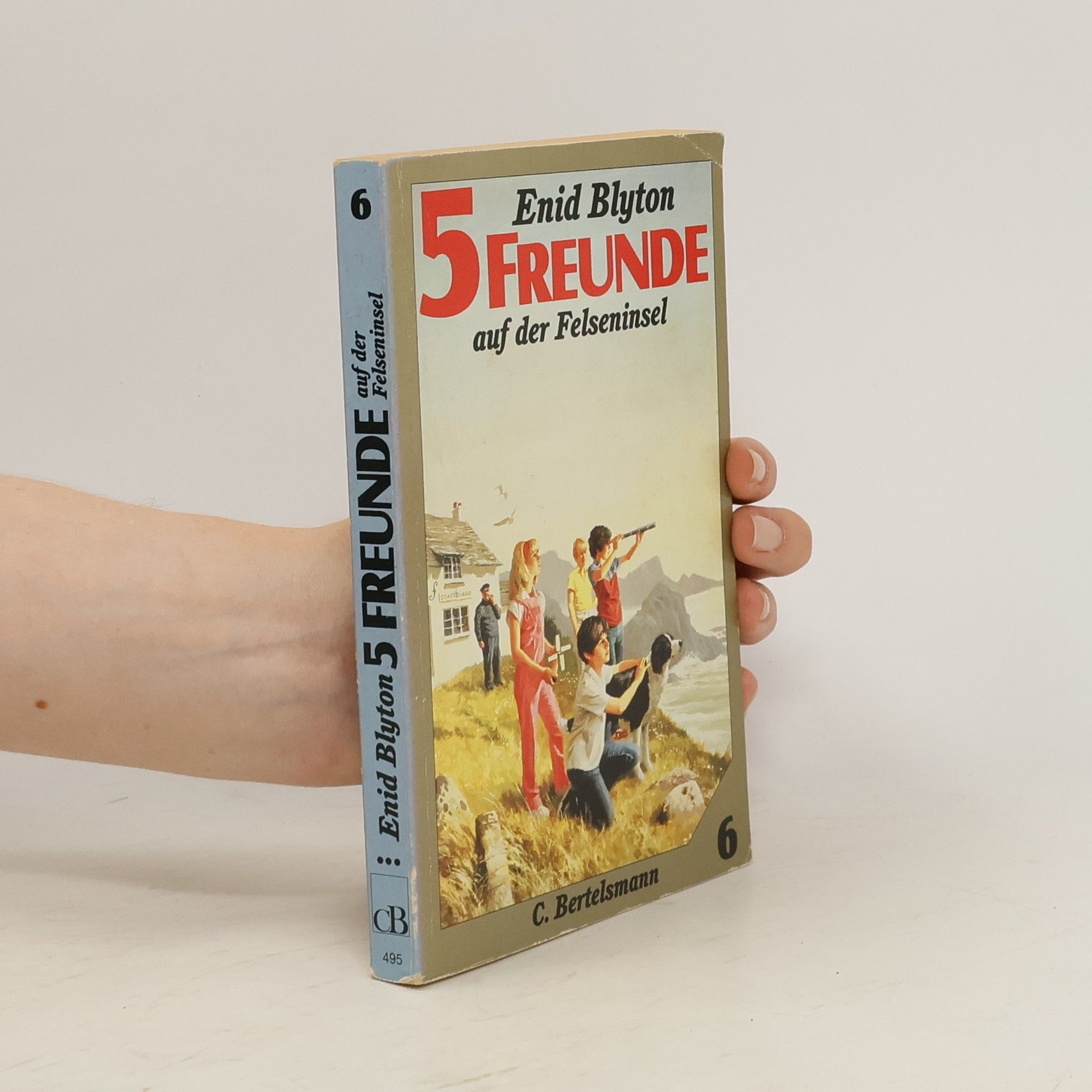 Enid Blyton 5 Freunde auf der Felseninsel