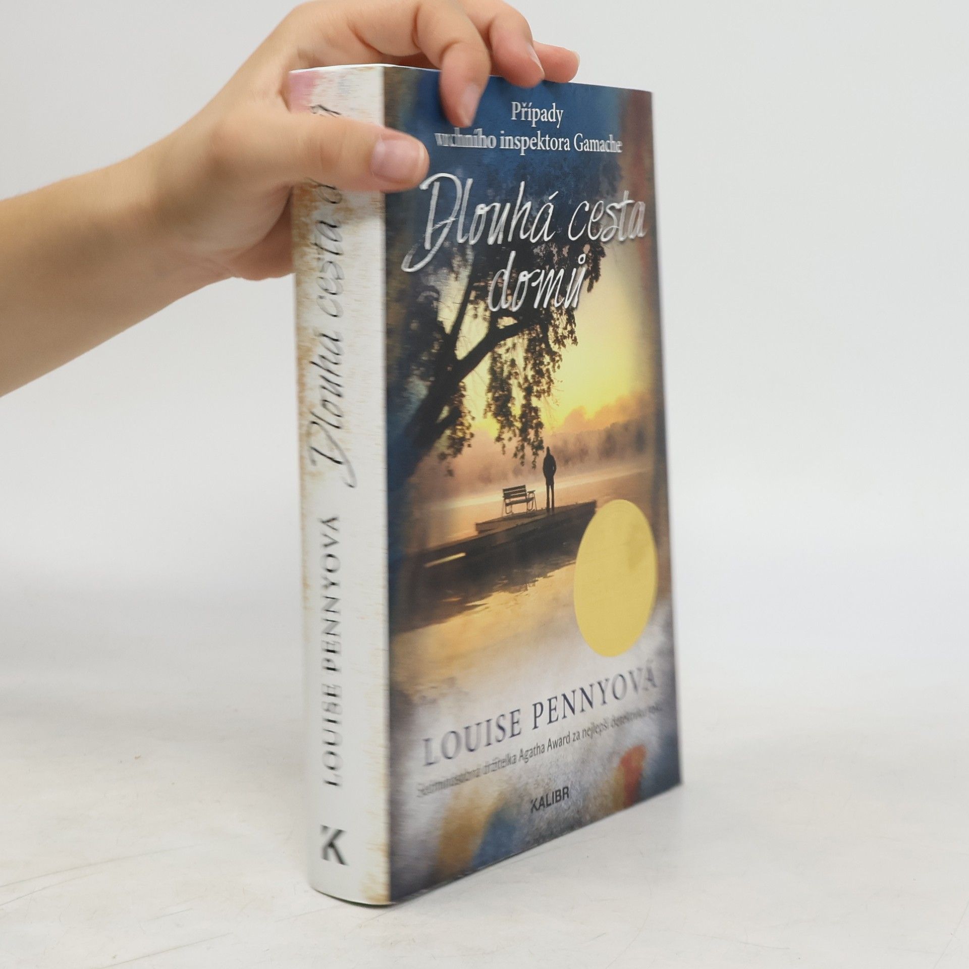 Louise Penny Dlouhá cesta domů