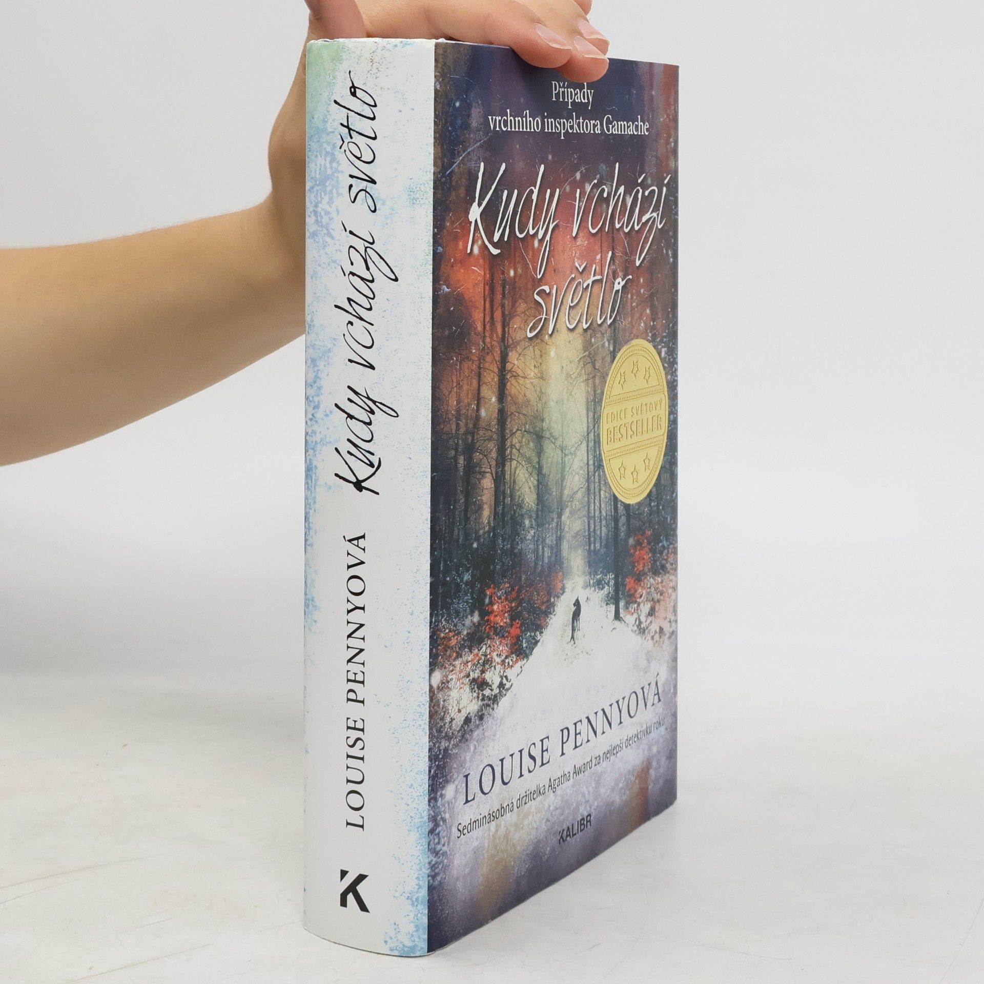 Louise Penny Kudy vchází světlo