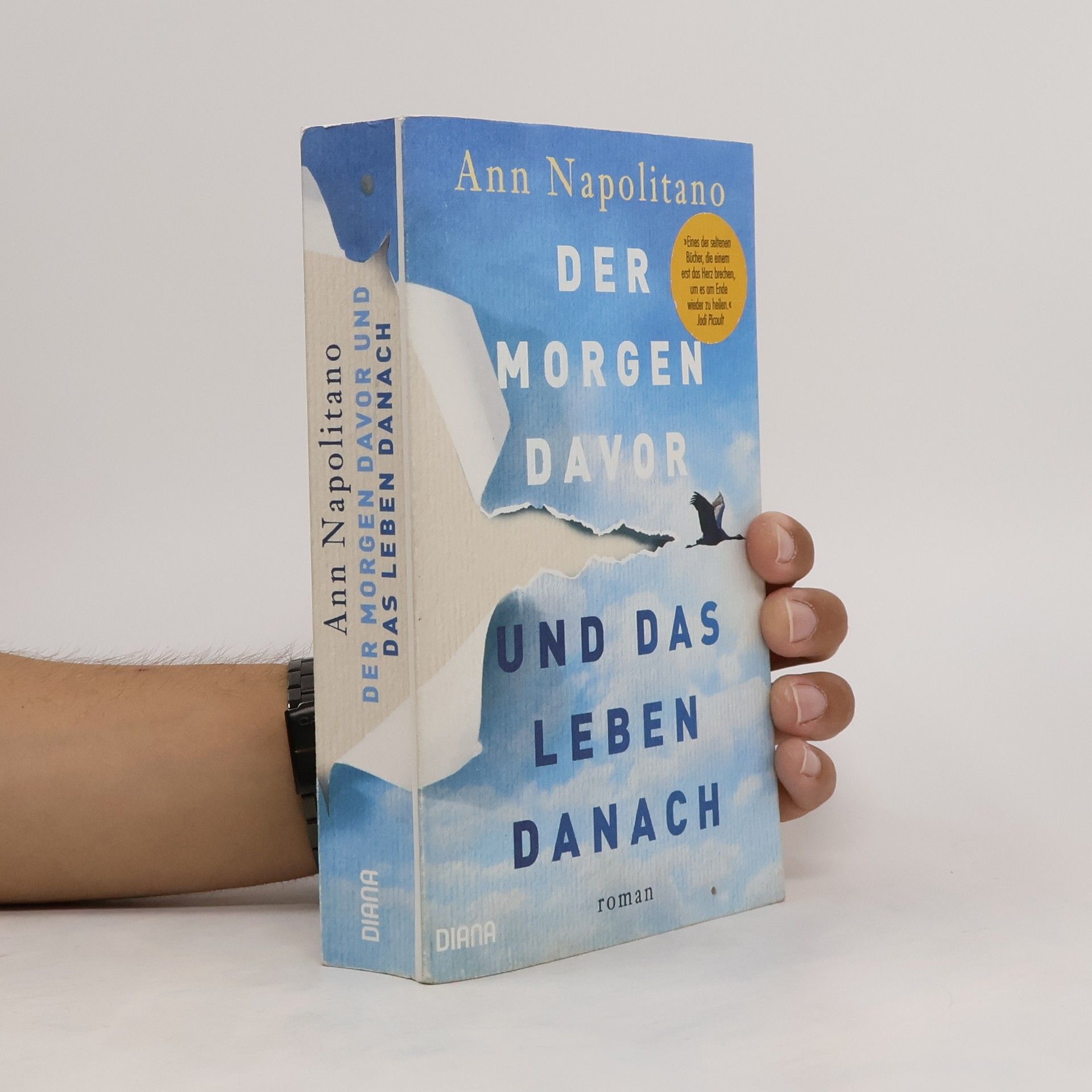 Ann Napolitano Der Morgen davor und das Leben danach