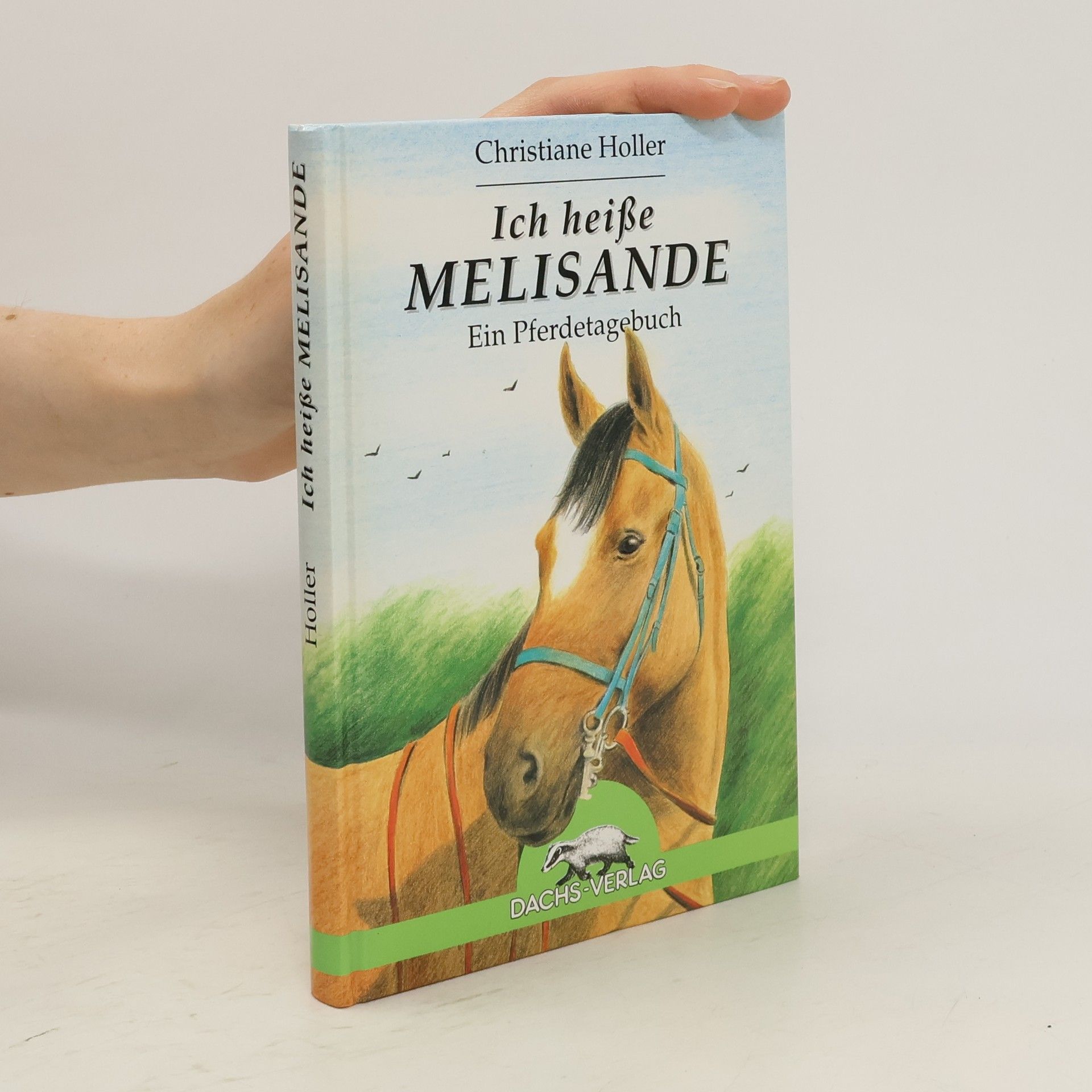 Christiane Holler Ich heiße Melisande. Ein Pferdetagebuch