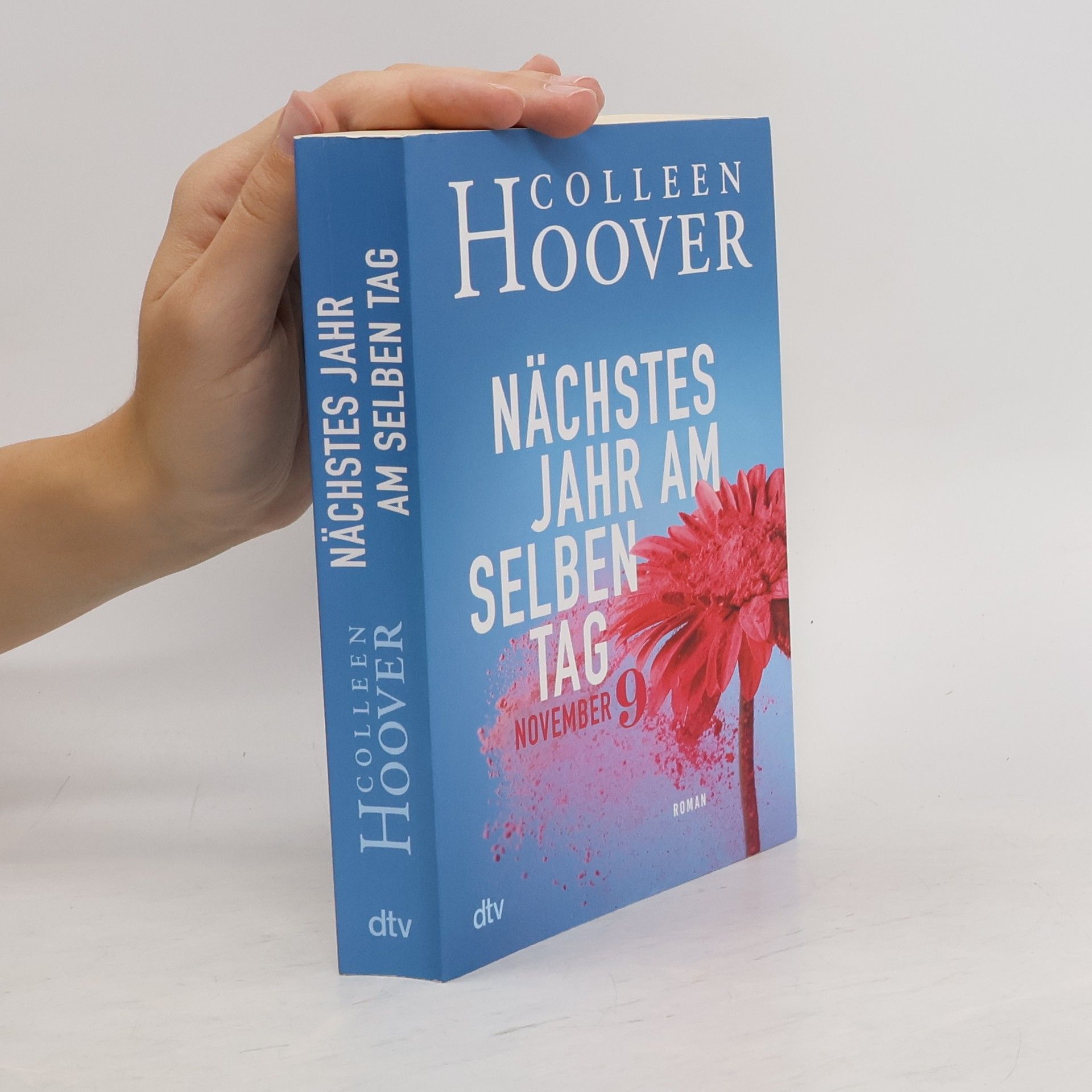 Colleen Hoover Nächstes Jahr am selben Tag